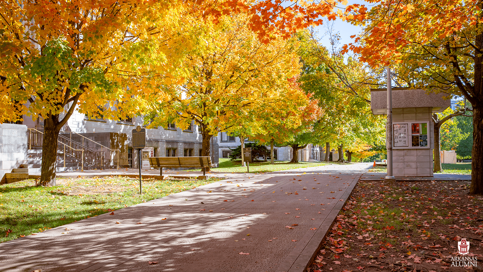 1920x1080 Arkansas Alumni Online Community