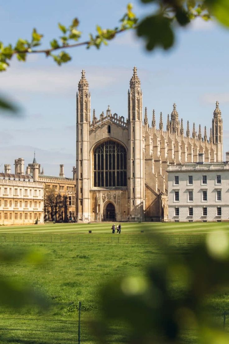736x1104 Download Cambridge University With Leaves Portrait Wallpaper