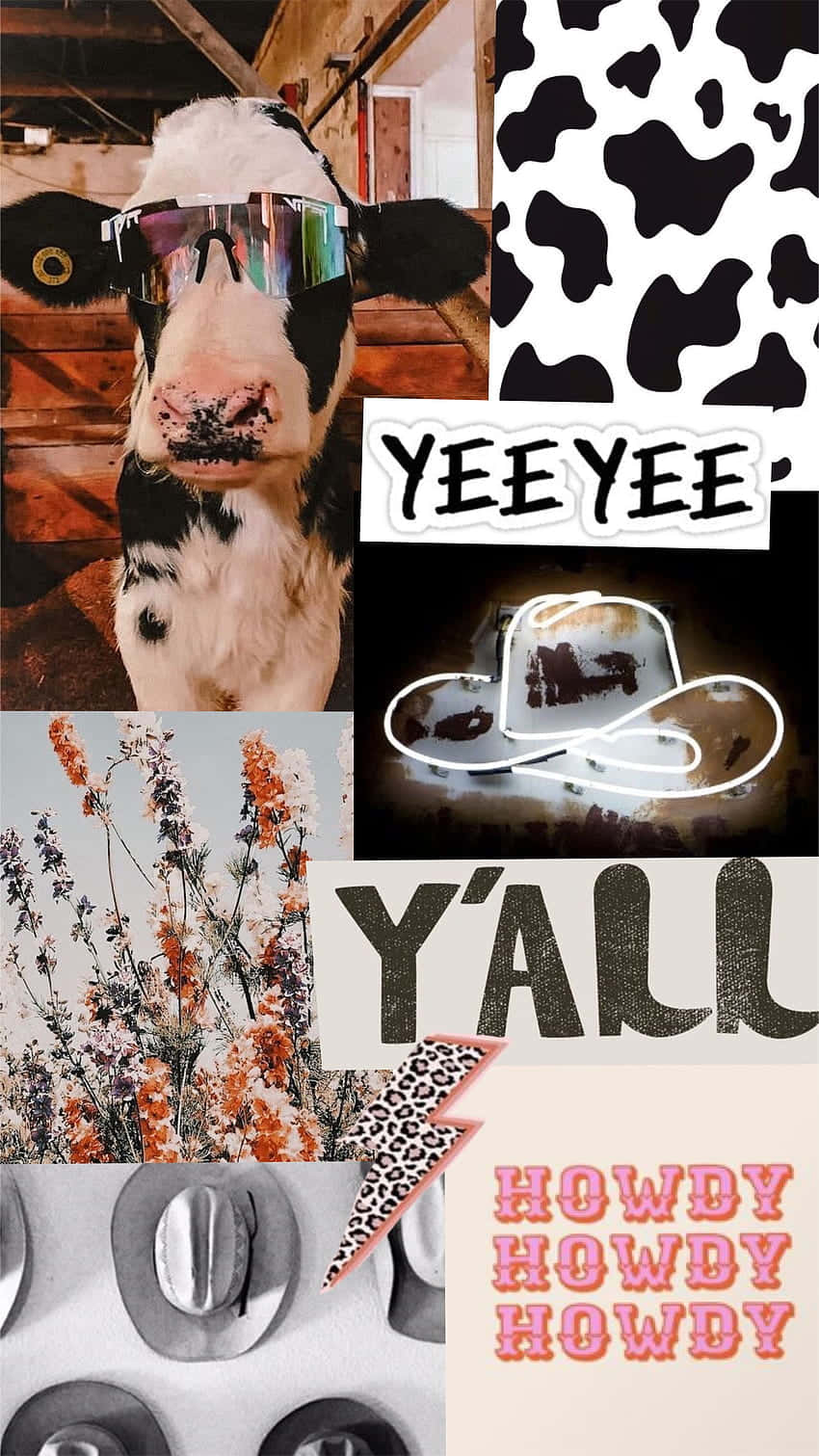 850x1511 Disco Cowgirl Aesthetic Wallpaper