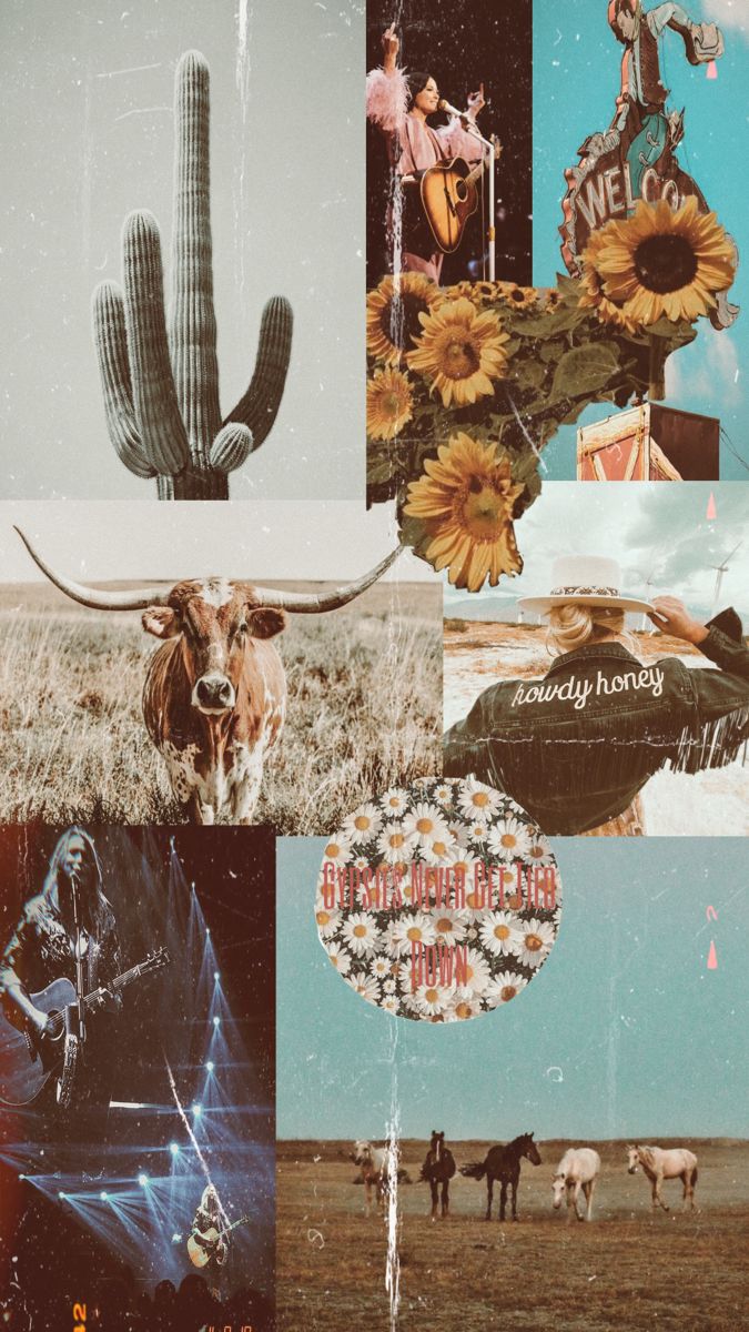 675x1200 Cowgirl Wallpaper, HD Background