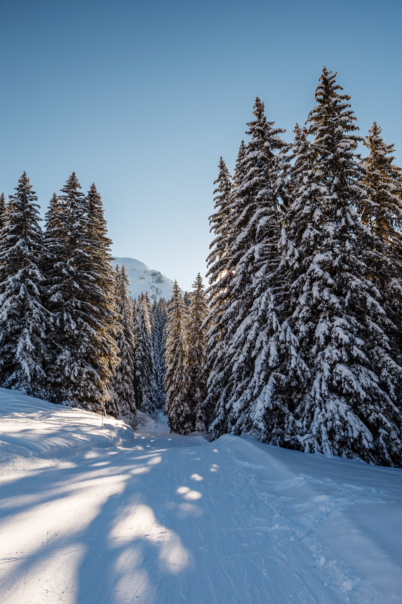 1333x2000 Megeve, French Alps: Sunny Forest Ski Run