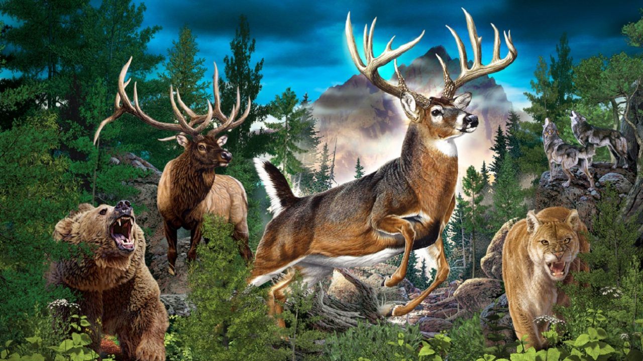 1280x719 Review: Cabela's: The Hunt Edition (Nintendo Switch)