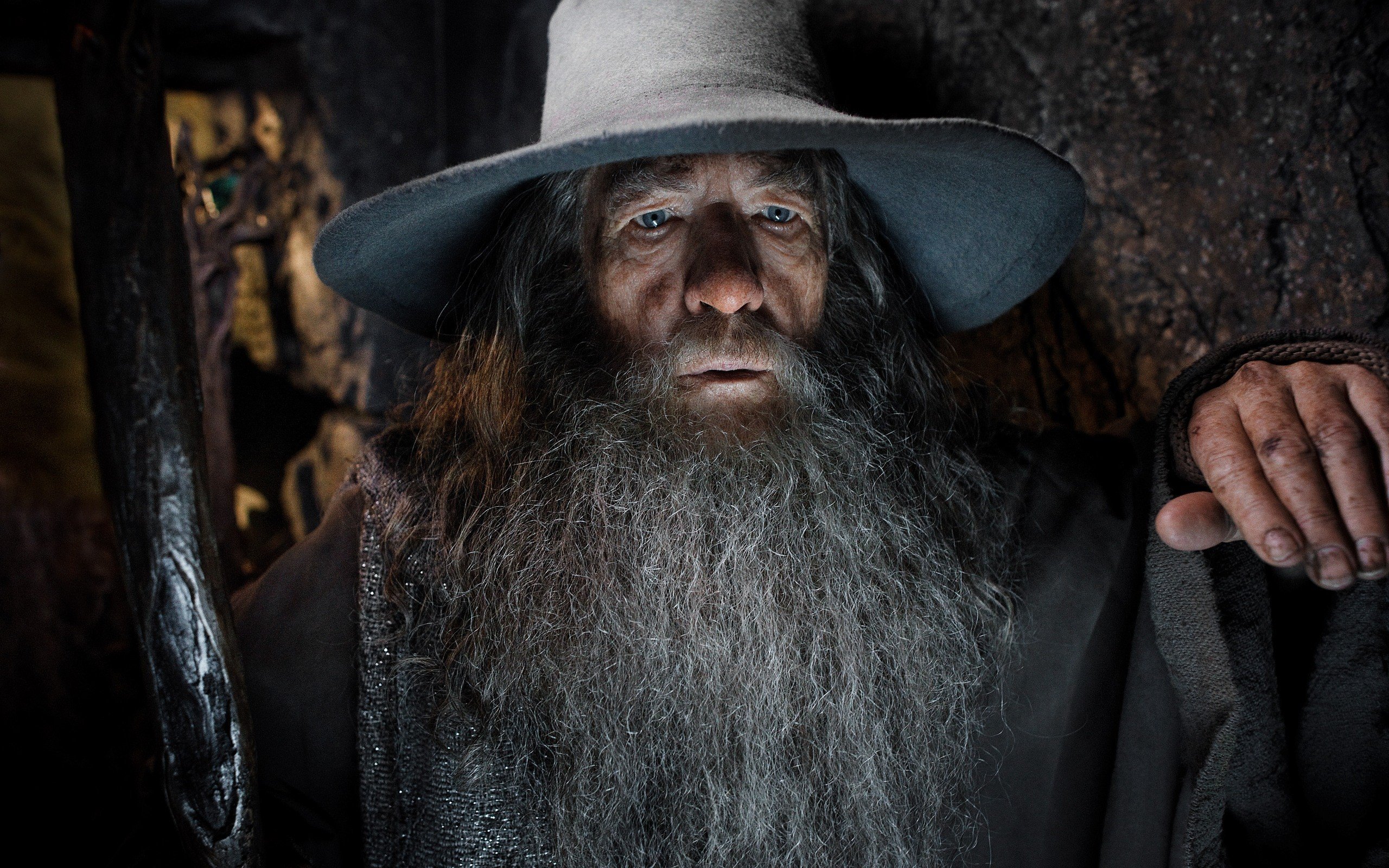 2560x1600 movies, Gandalf, The Hobbit, The Hobbit: The Desolation of Smaug, Ian McKellen, Men, Actor, Wizard HD Wallpaper / Desktop and Mobile Image & Photo