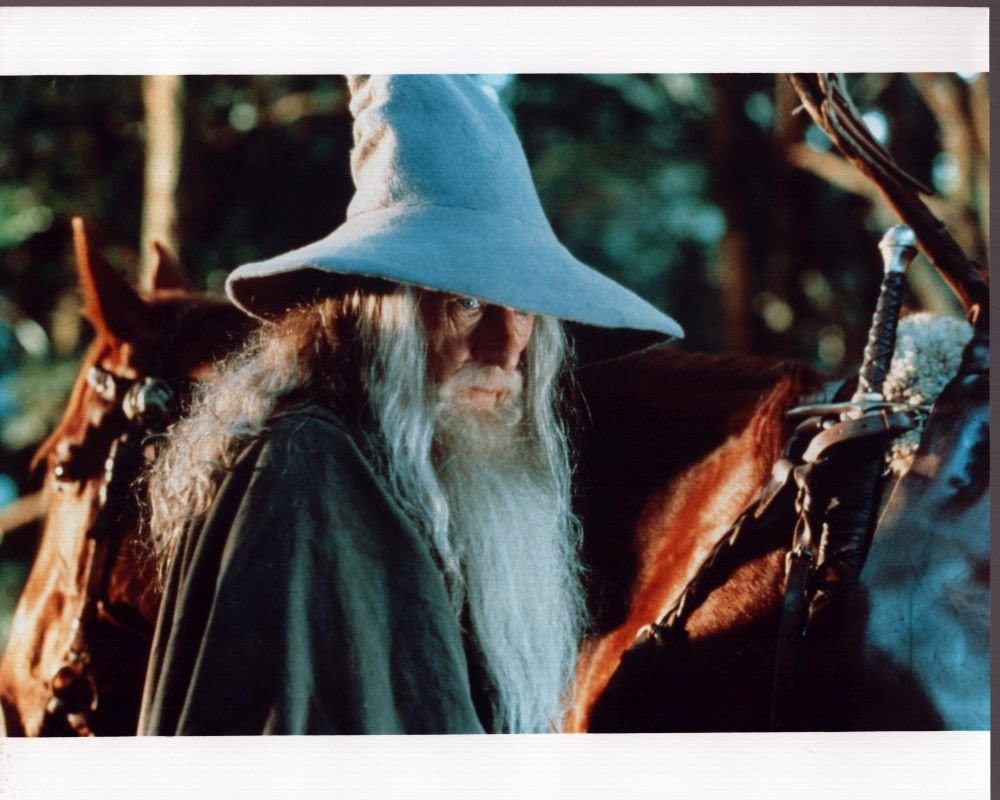 1000x800 Ian Mckellen In The Lord Of The Rings: The Fellowship Of The Ring Photo Print (8 x 10)
