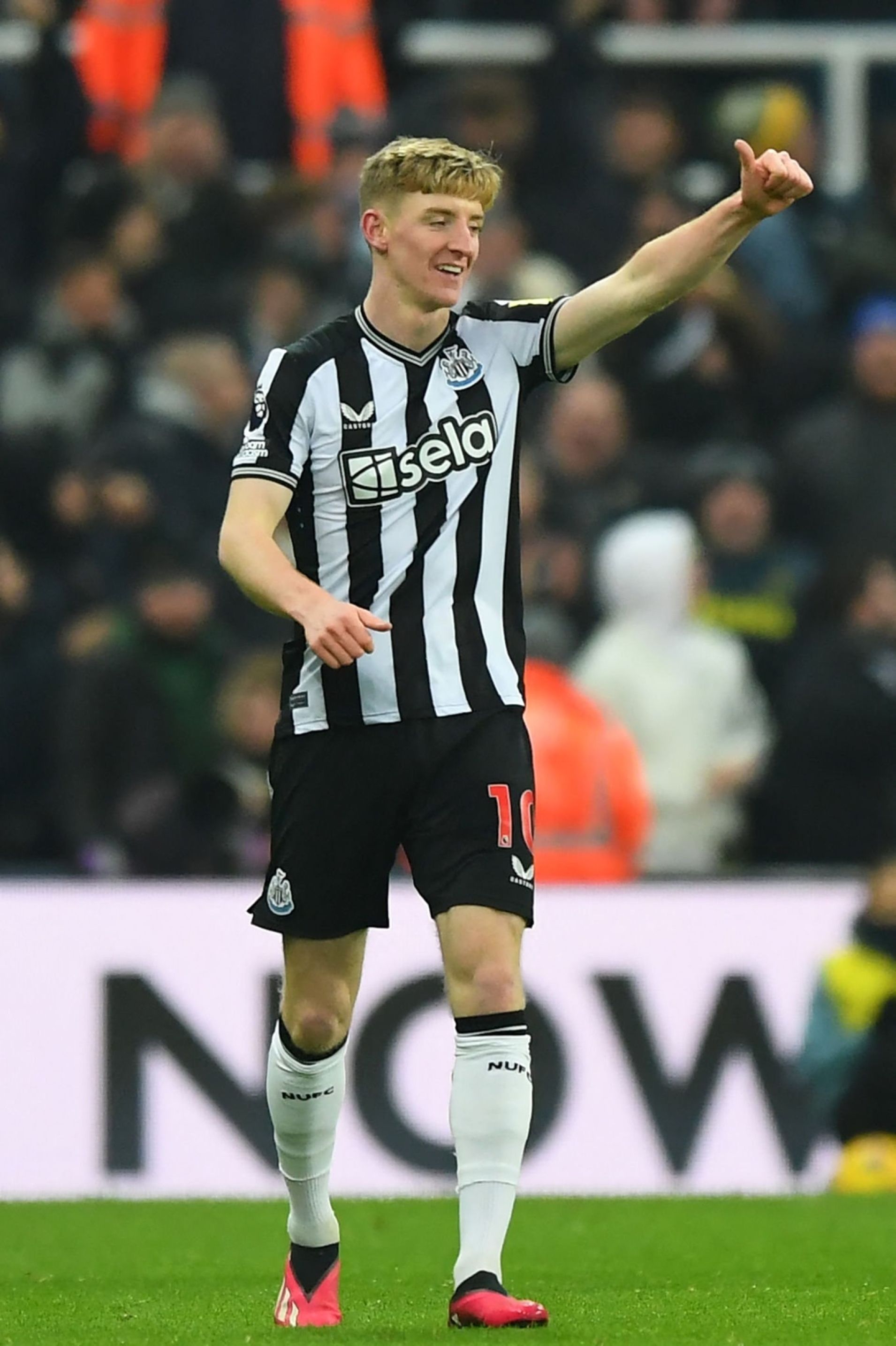 1910x2867 Anthony Gordon ideas. anthony, gordon, newcastle united