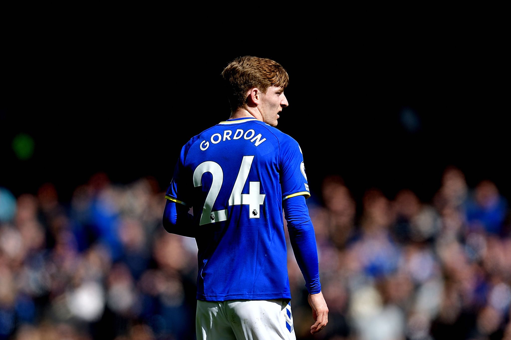 2048x1365 Anthony Gordon Wallpaper