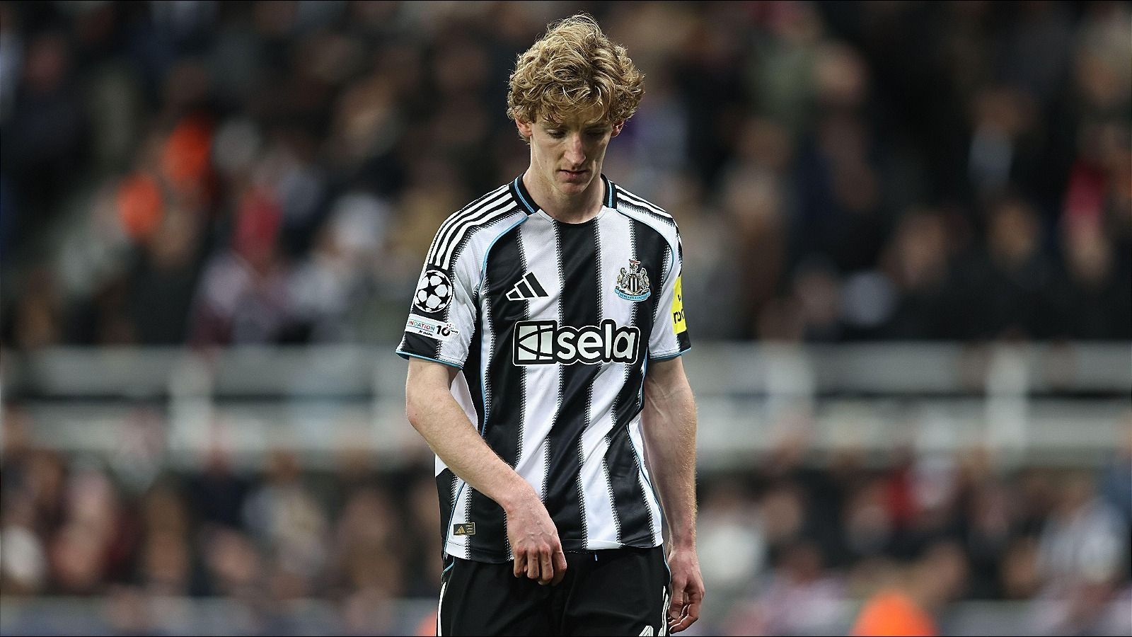 1600x900 Vodacom Soccer. News. Anthony Gordon fit as Eddie Howe prepares Newcastle for Stamford Bridge battle
