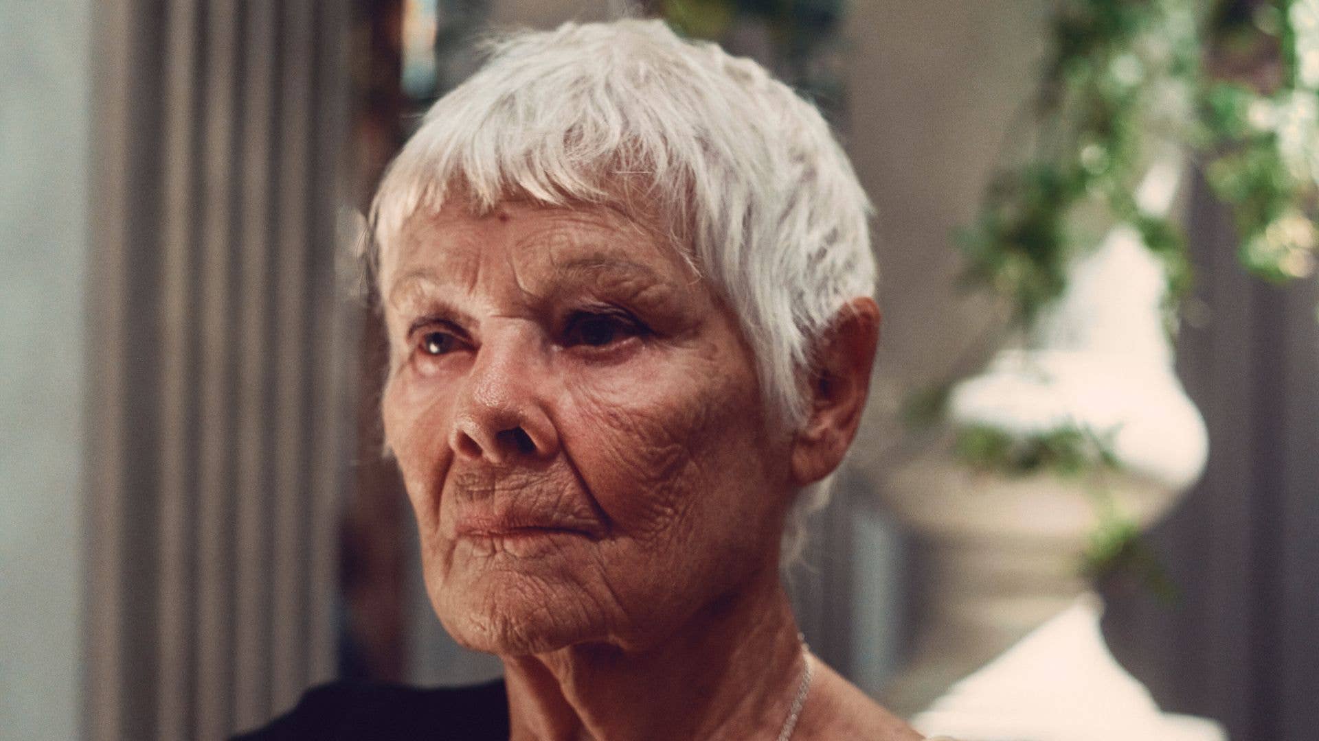 1920x1080 Dame Judi Dench's 'very irritating' health conditions at 90. HELLO!