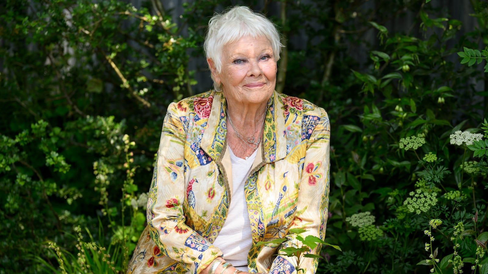 1600x900 Judi Dench Reveals Parrot's Rude Nickname