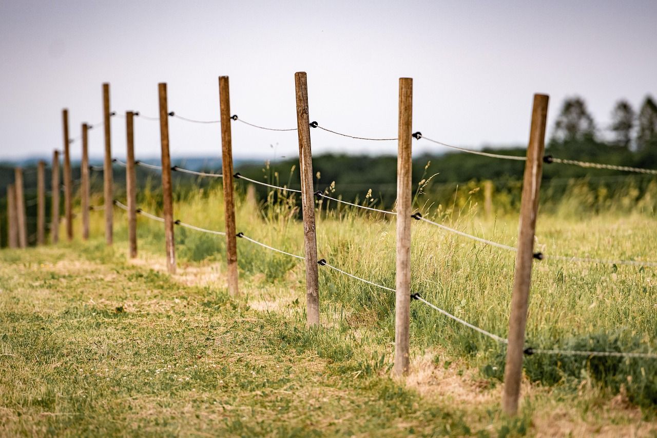 1280x853 Free Electric Fencing & Electric Fence Image