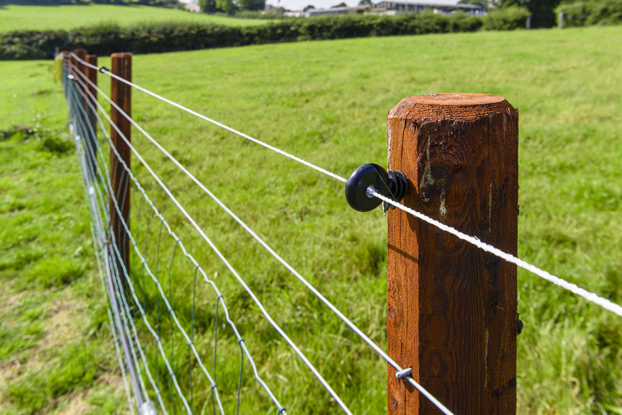 2119x1414 Your Complete Guide to Electric Fencing. Blain's Farm & Fleet Blog
