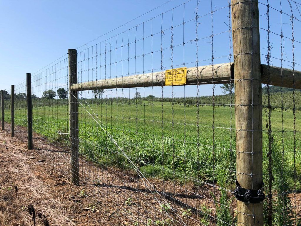 1024x768 Electric Fences for your Animals