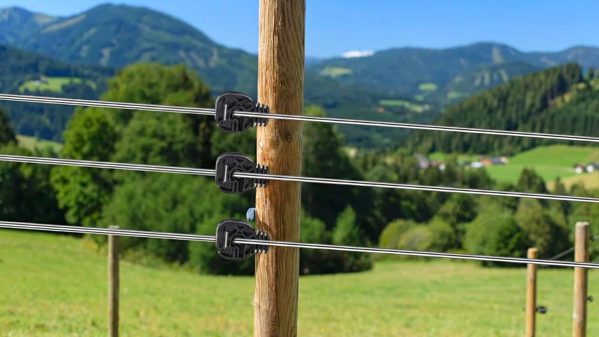 1920x1080 Amazon.com : Tandefio 25 Pcs Electric Fence Wire Insulator Stand off Screw in Insulator Black Fence Post Insulator Long Arm Wood Post Insulator for Tape Rope Electric Wire Animal Agricultural Garden