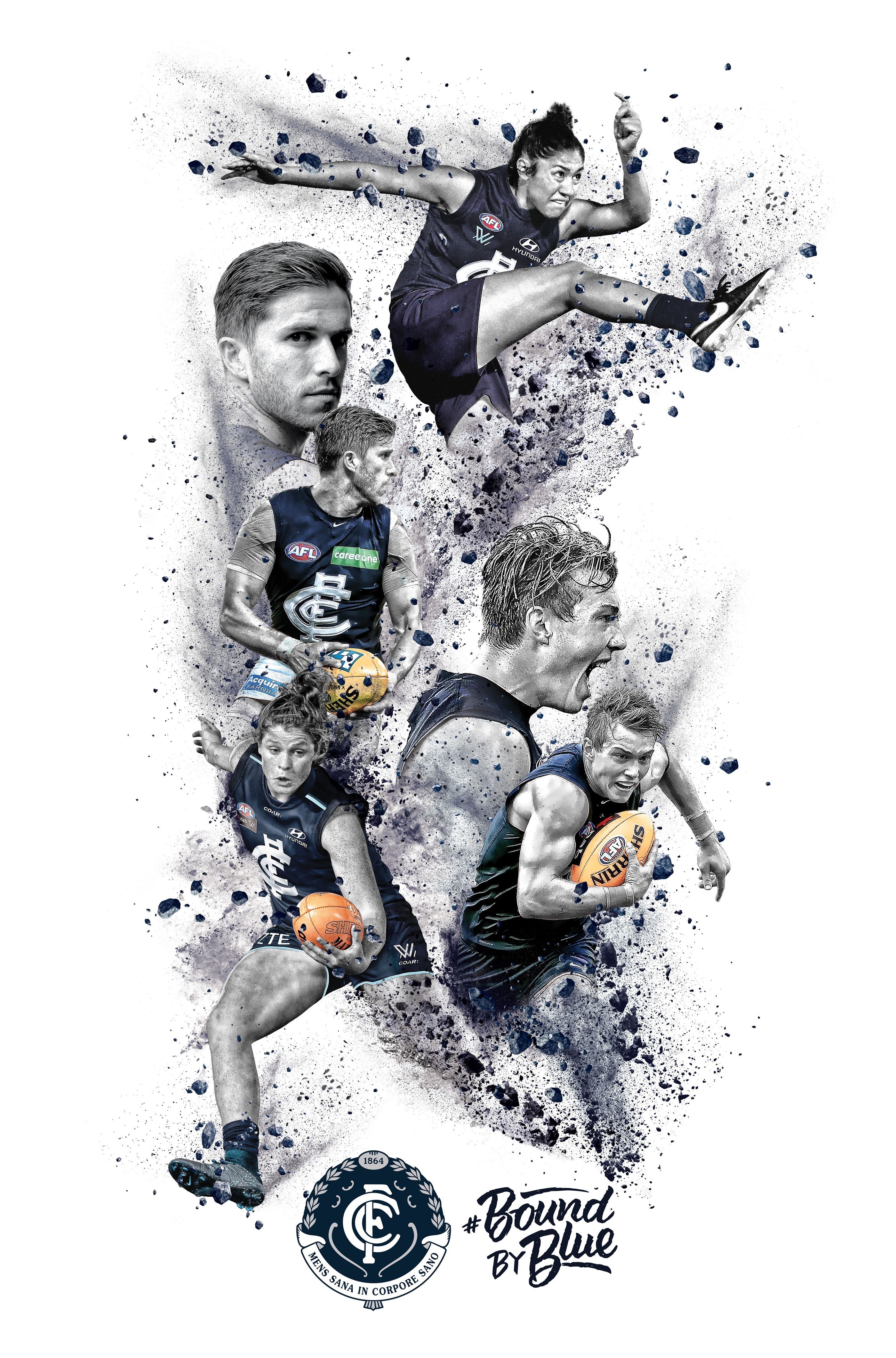 2800x4242 Carlton Football Club Wallpaper