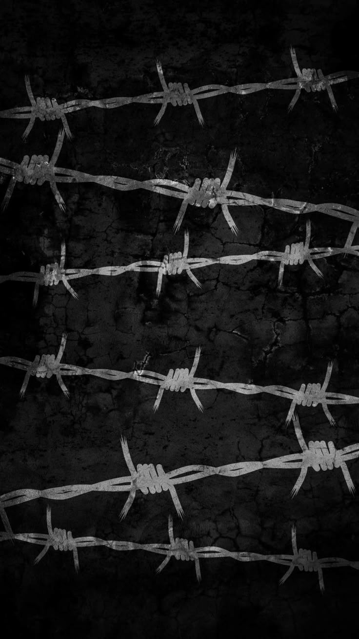 736x1308 Razor Wire Background