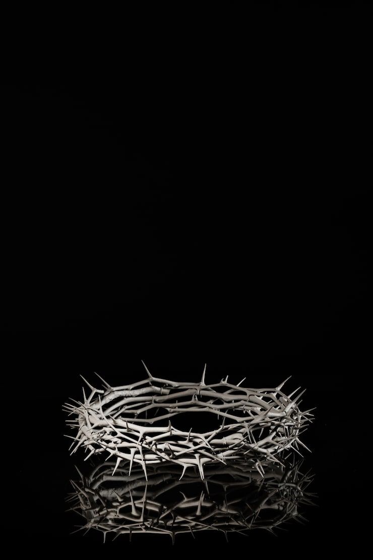740x1110 d razor wire Image