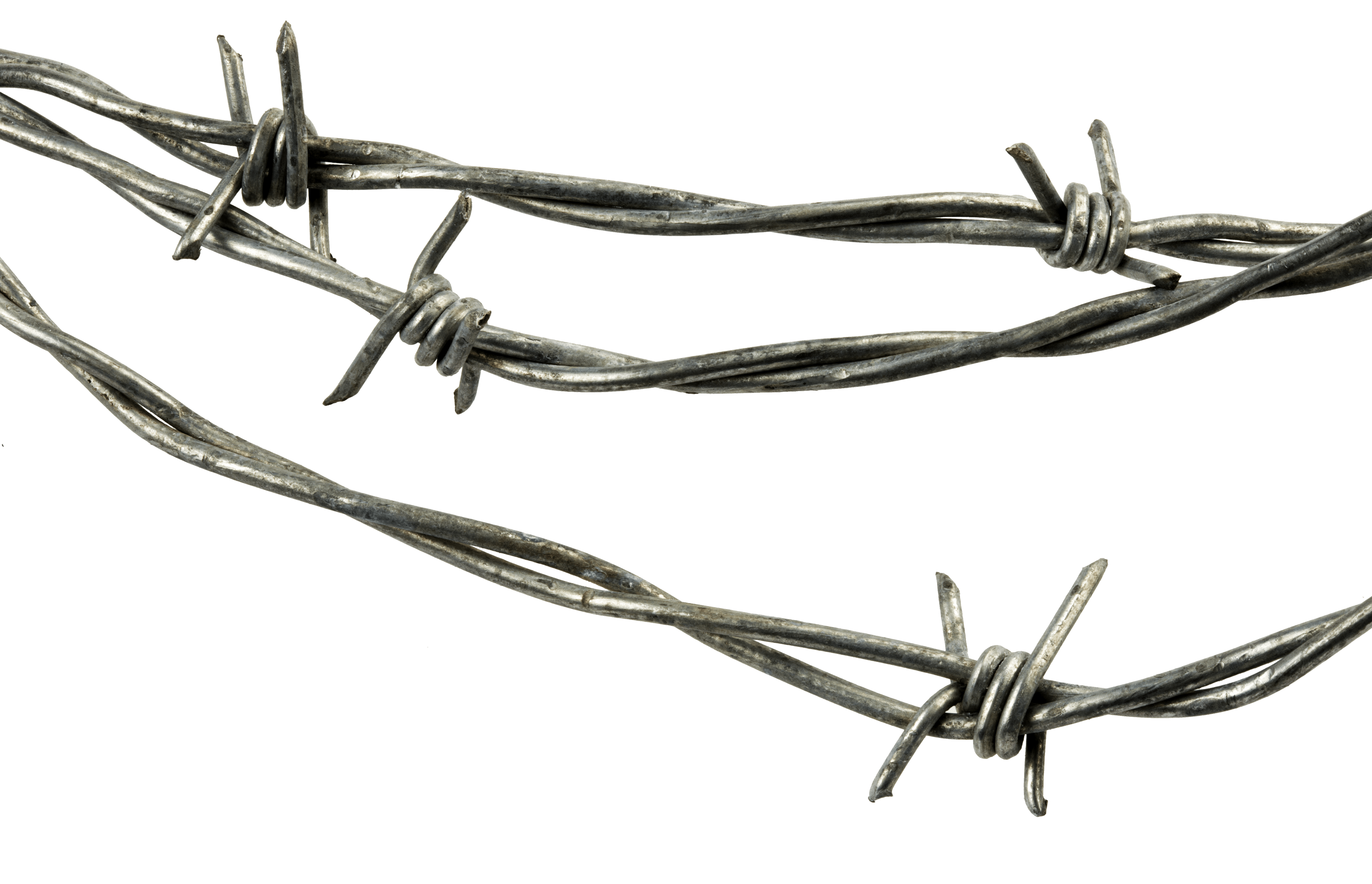 4000x2579 Barbed wire PNG transparent image download, size: 4000x2579px