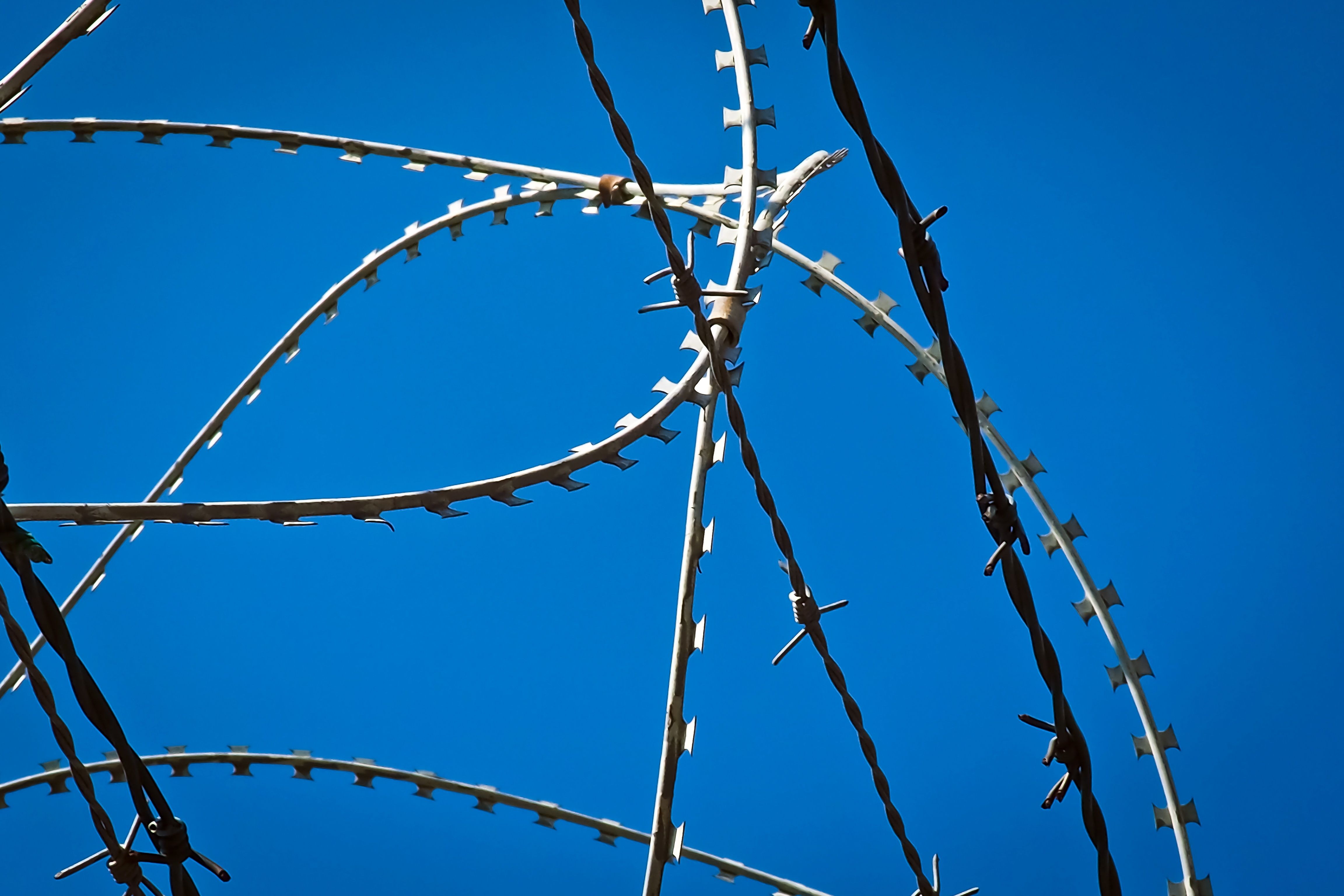 4608x3072 Free Image : branch, barbed wire, sky, wind, wire fence, mast, metal, blue, freedom, electricity, pink, security, twig, enclosure, captivity, prison, barrier, caught, refugees, fenced, limit, pointed, spur, sure, imprisoned, demarcation, transmission