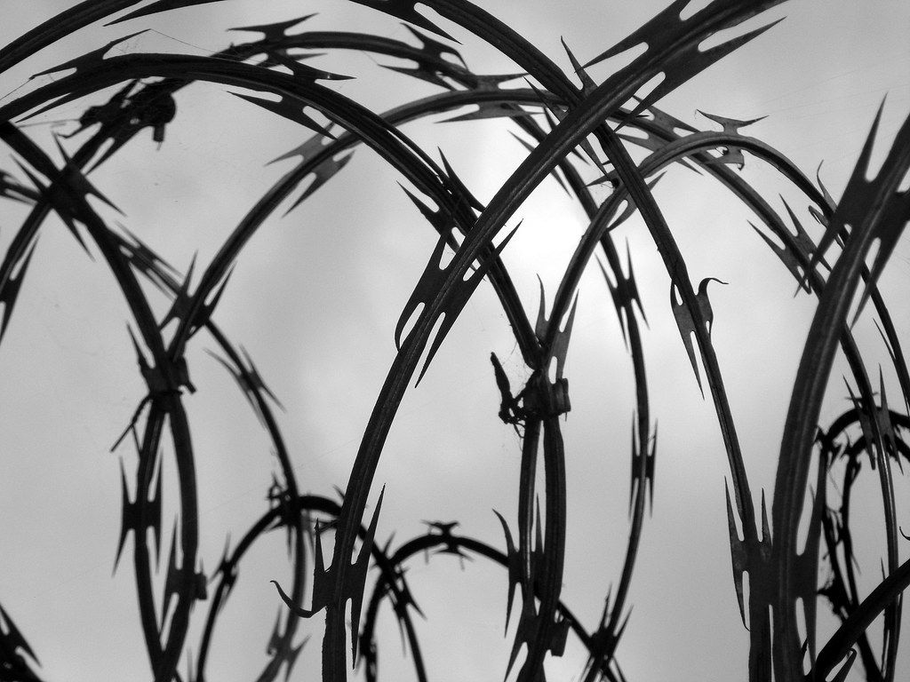 1024x768 Razor Wire. everywhere in PNG