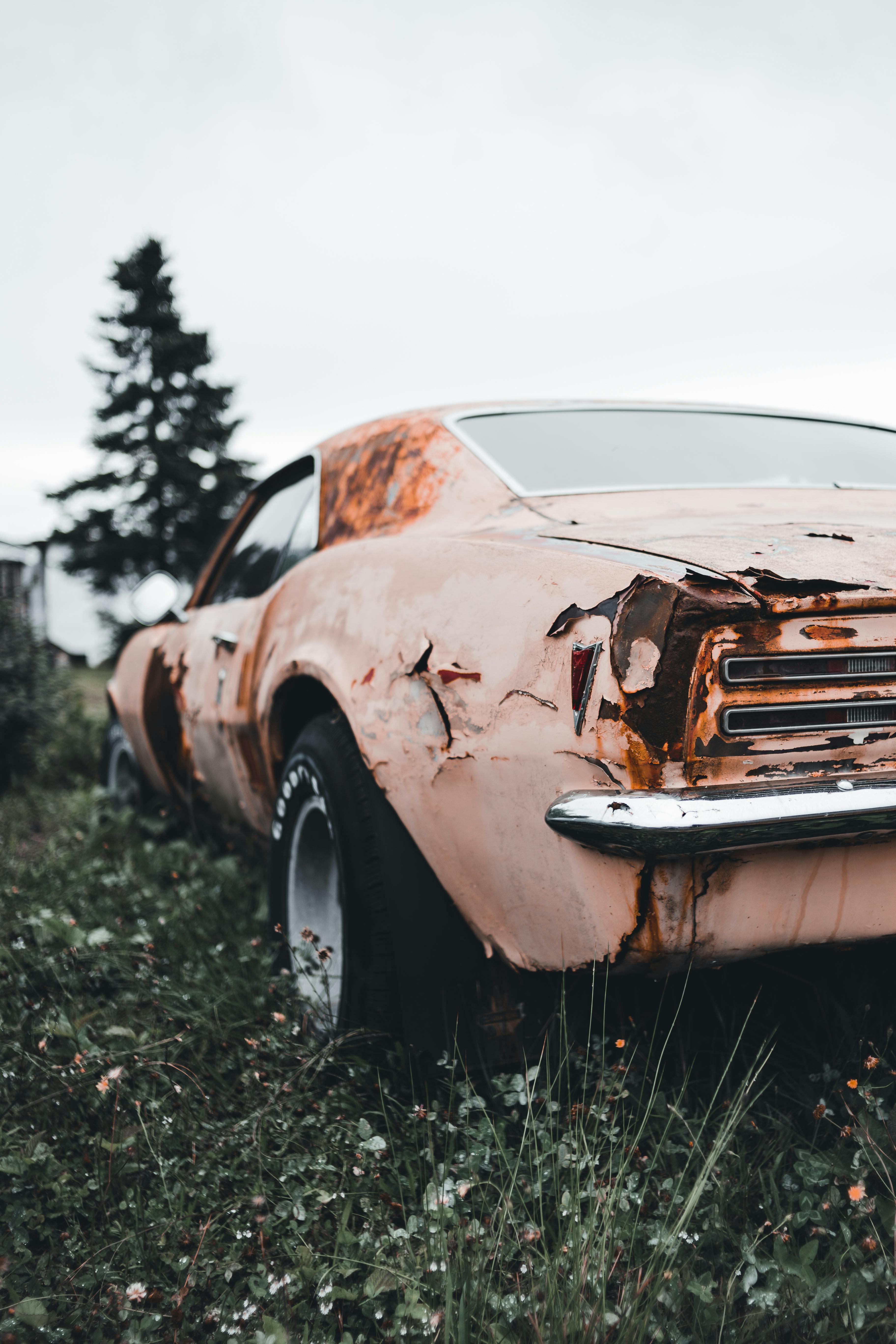 3648x5472 Rusty Vintage Car on Green Grass Field · Free