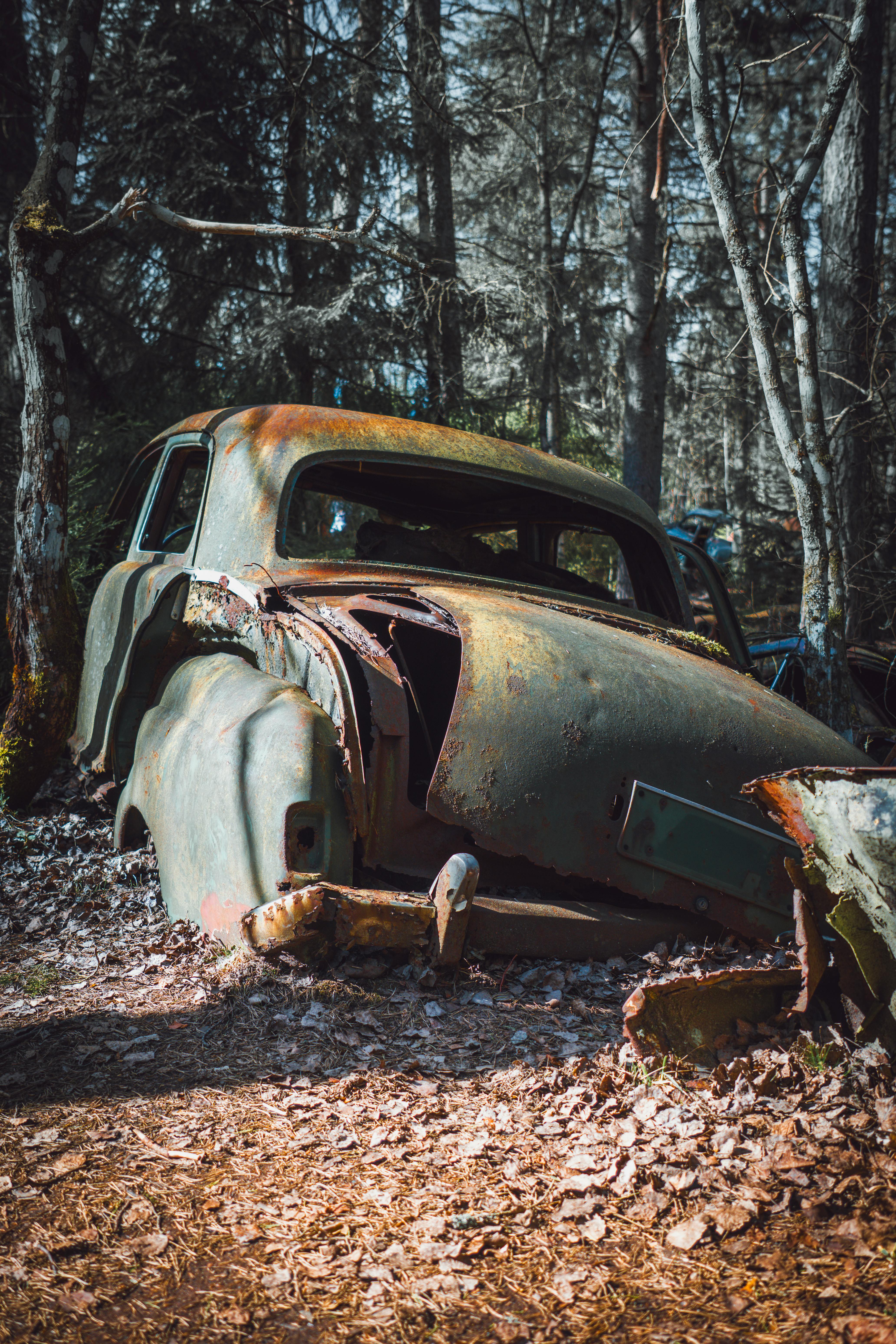 4128x6192 Rusty Abandoned Car in Forest Clearing · Free