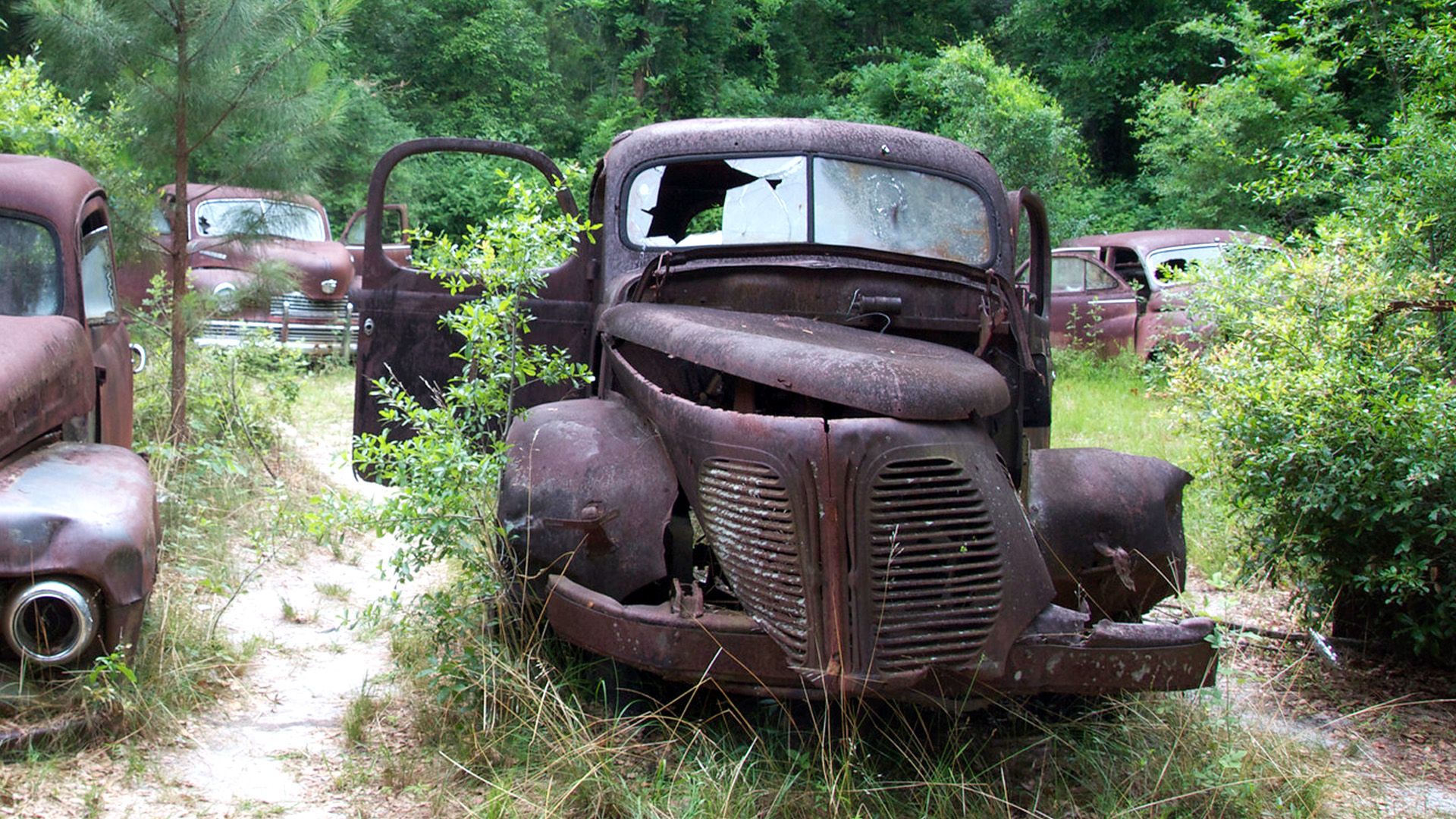 1920x1080 Stunning photo of 'rust bucket collection' graveyard after family's perfect car time capsule becomes tourist attraction