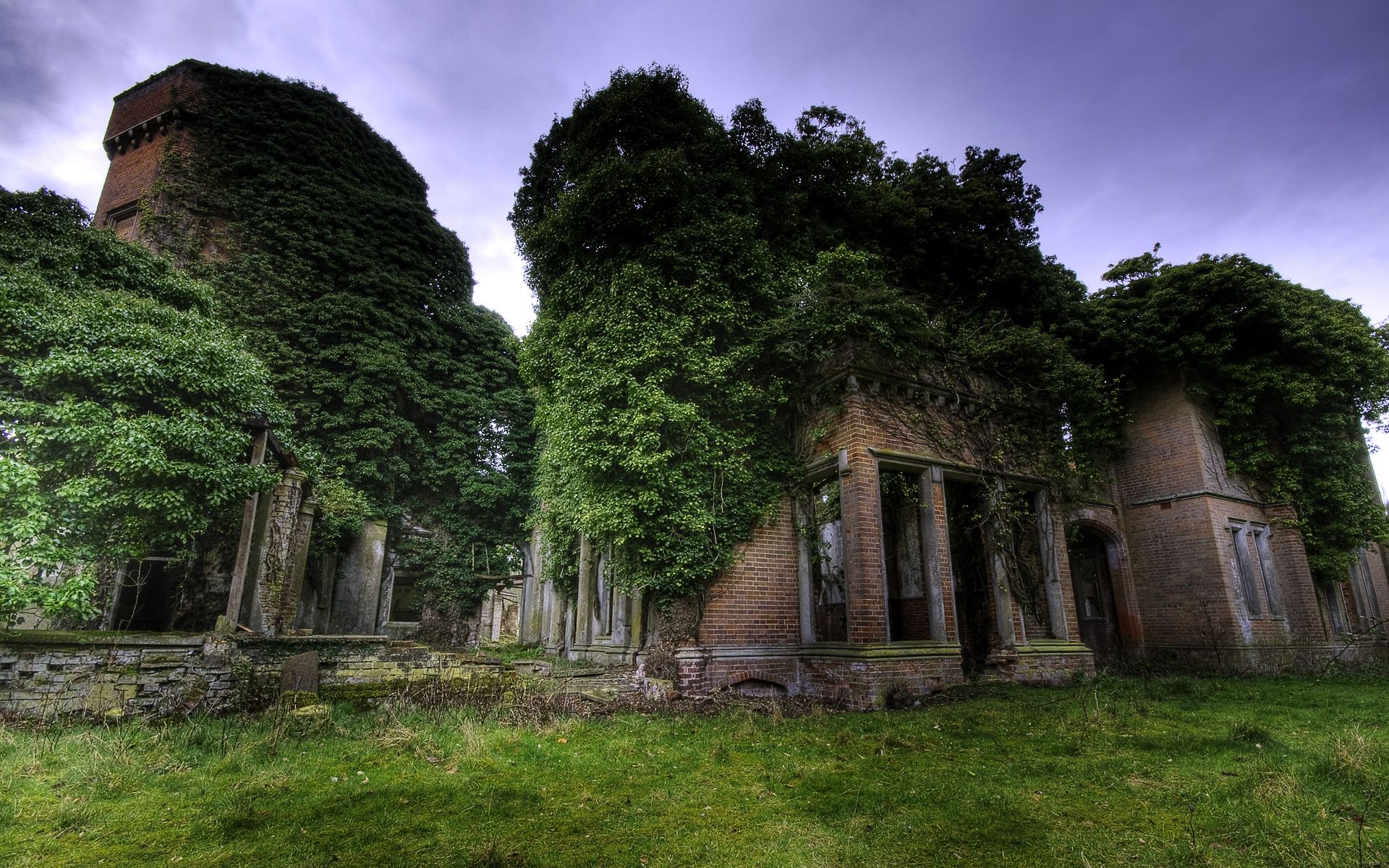 1920x1200 Timeless Ruins: Nature Reclaims Man Made Legacy HD Wallpaper