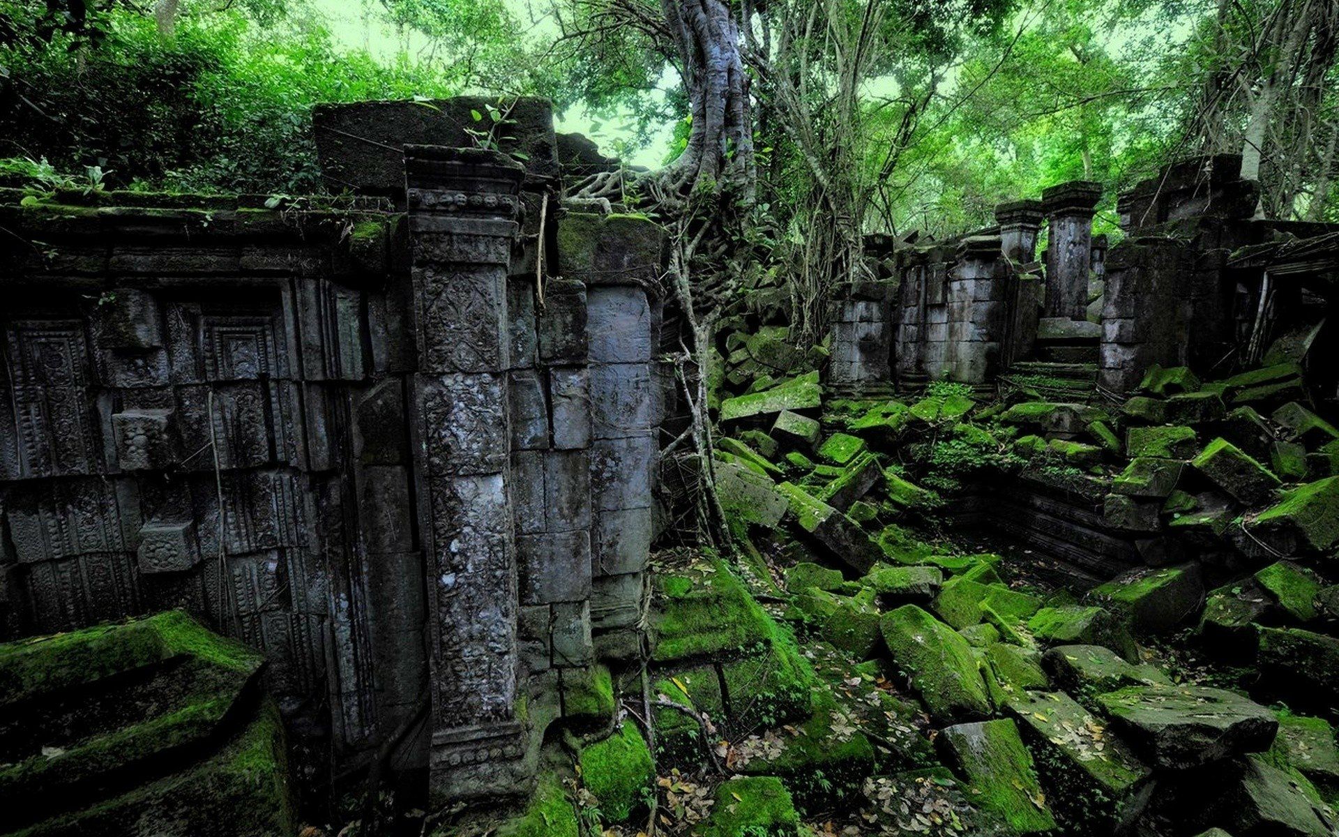 1920x1200 Moss Covered Jungle Ruins Embraced By Ancient Trees