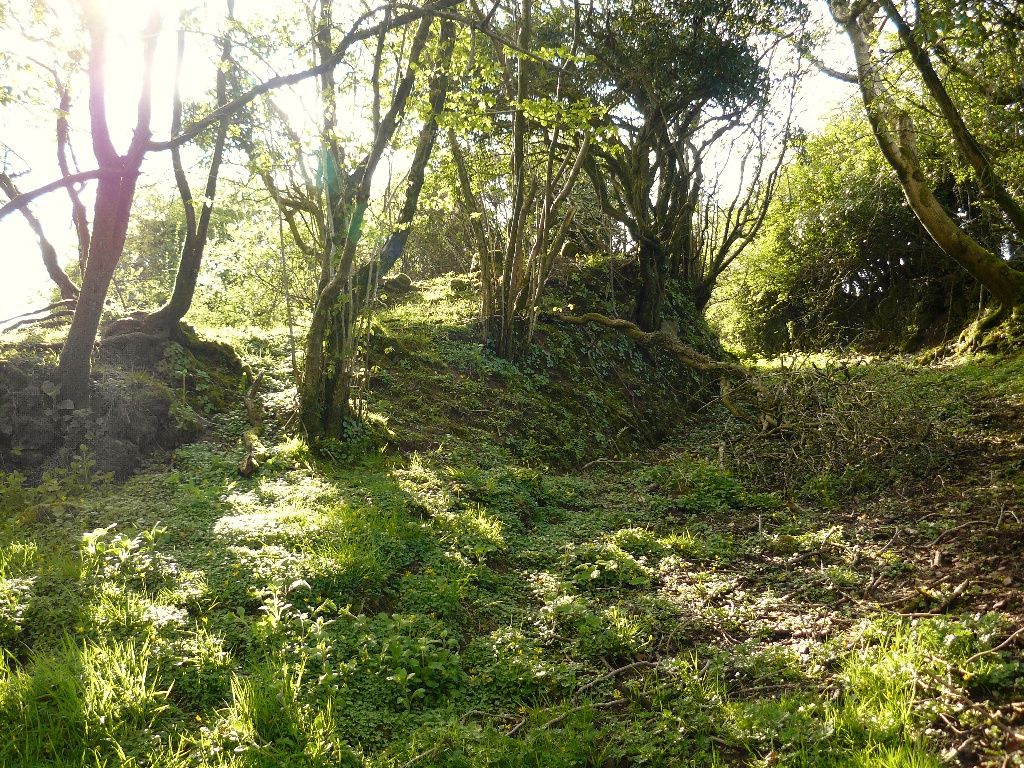 1024x768 Overgrown ruins.org.uk