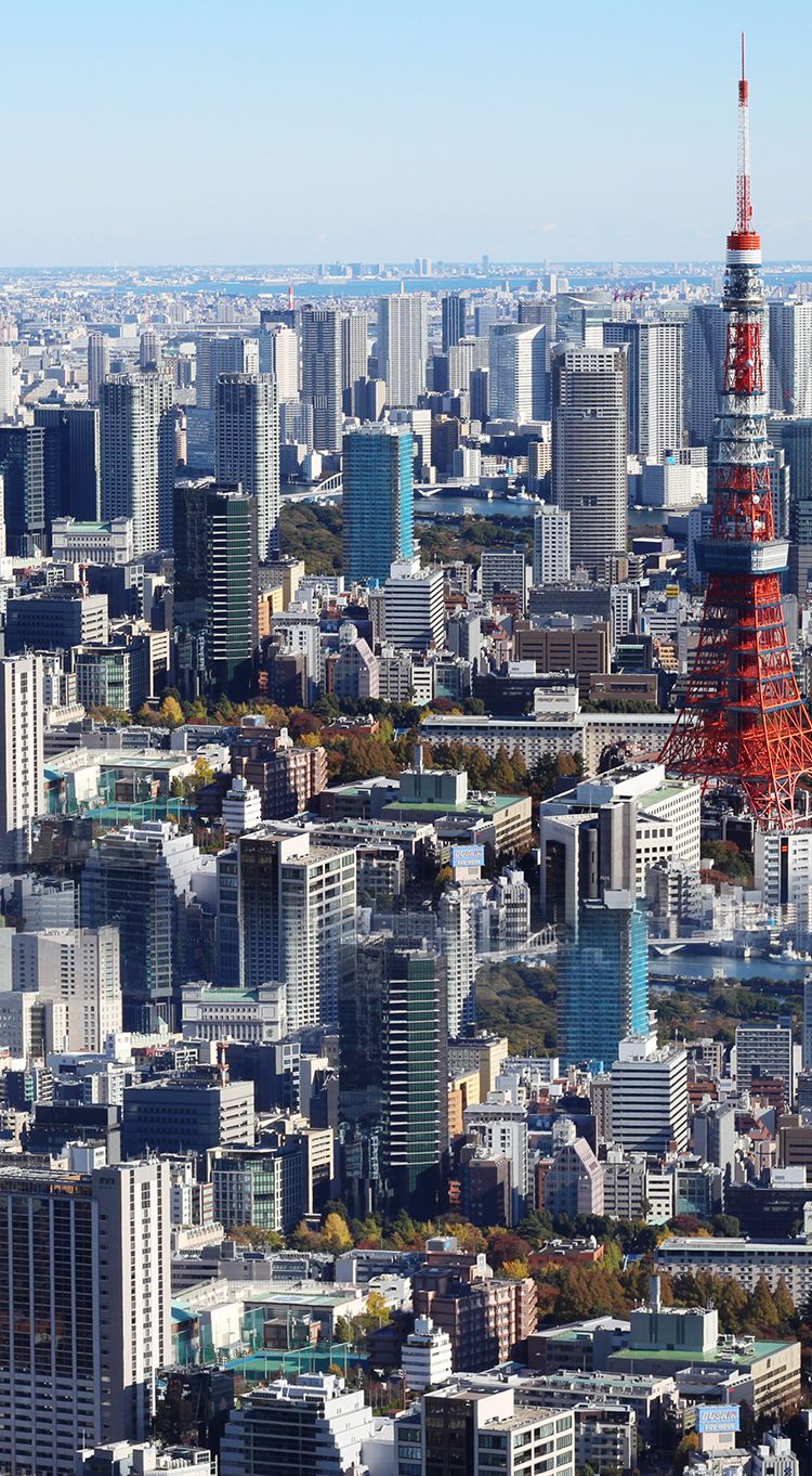 750x1362 TOKYO APARTMENT INC