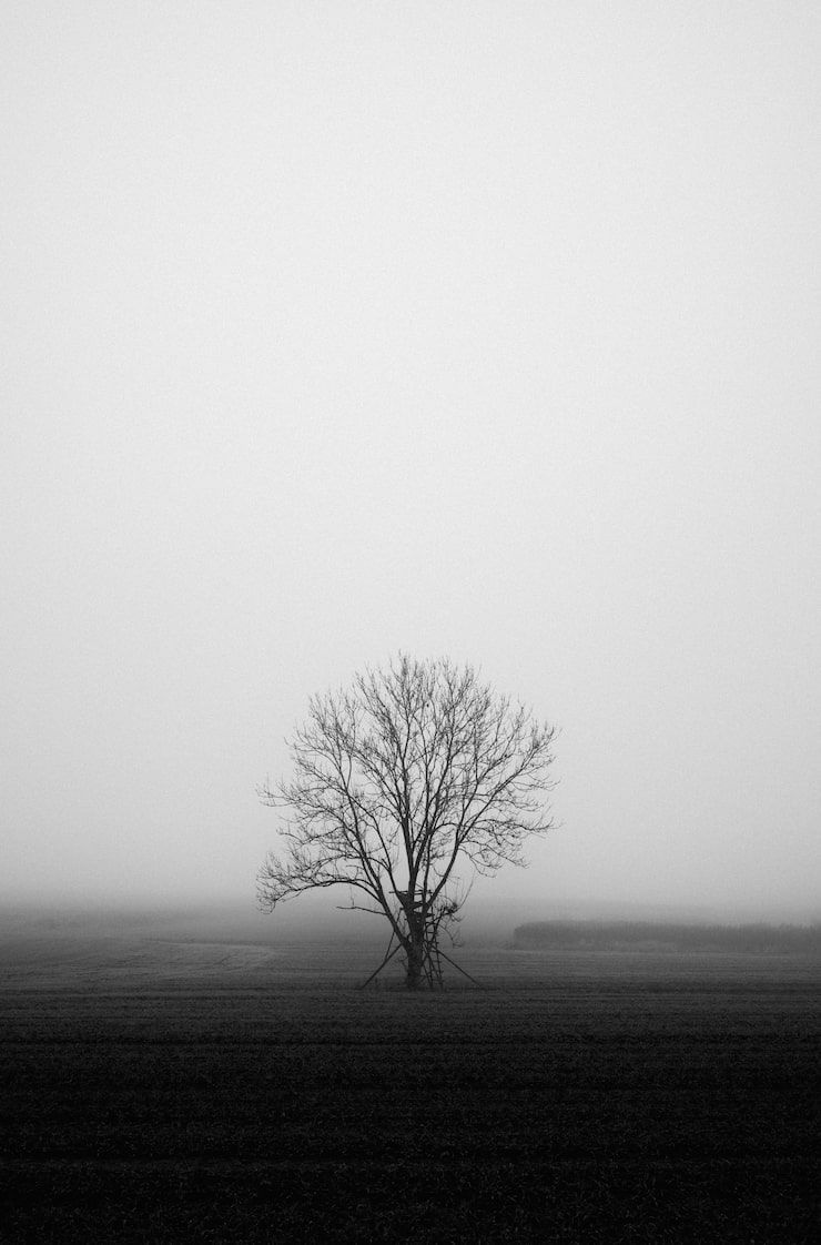 740x1122 Sad Aesthetic Wallpaper Photo Free High Quality Picture