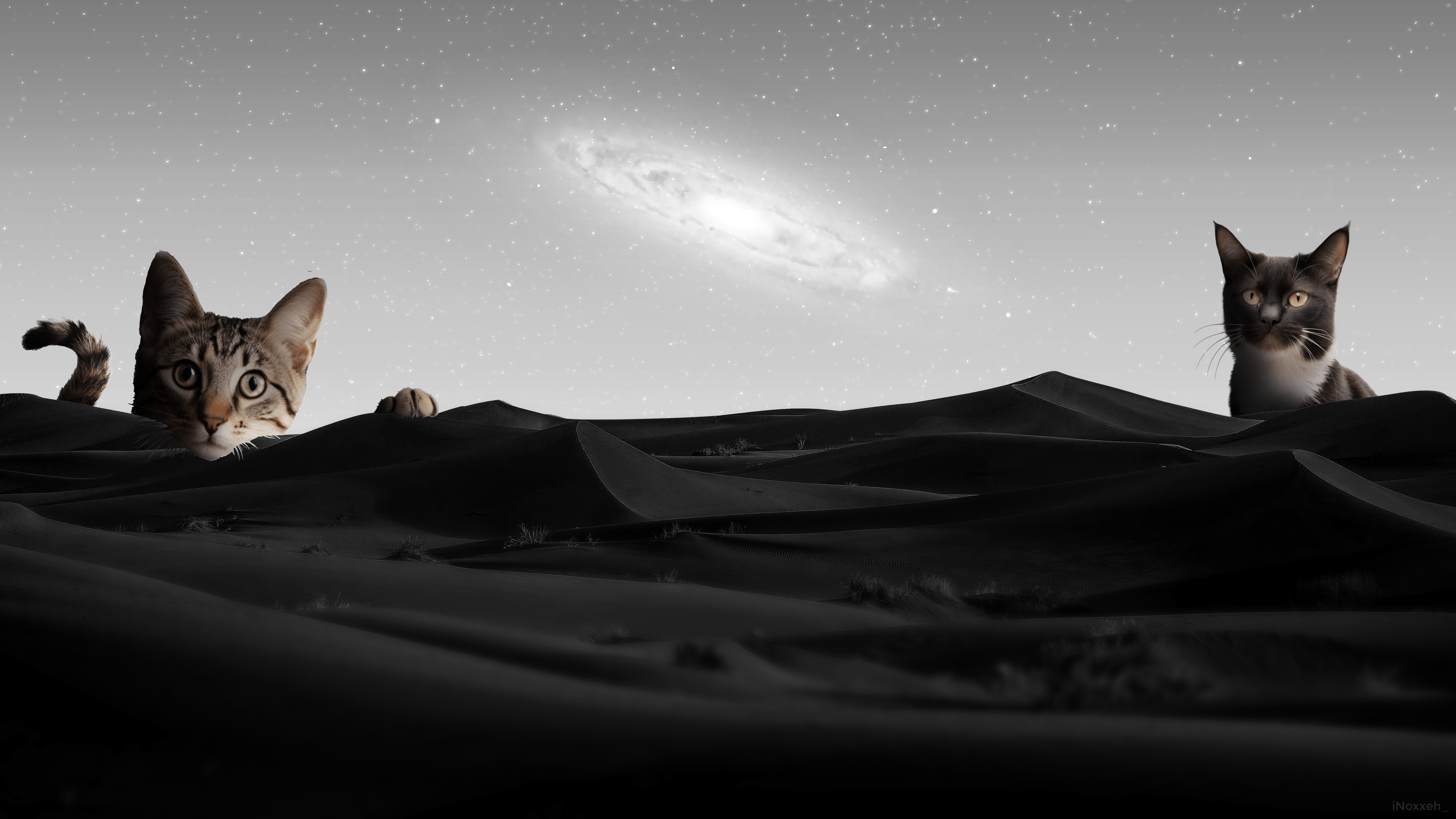 7000x3937 I came up with an idea and made this silly wallpaper for my Windows desktop. Let me know what you think!