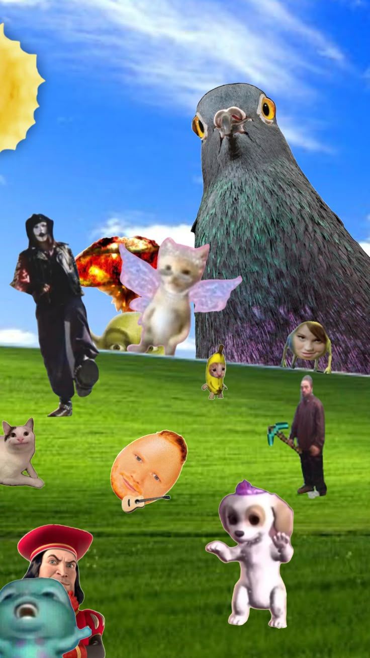 736x1308 funny#art#memes#wallpaper