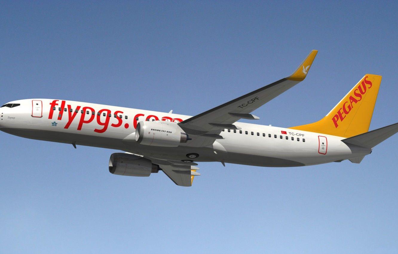 1332x850 Wallpaper Model, Blender3D, Pegasus Airlines, Boeing 737 800