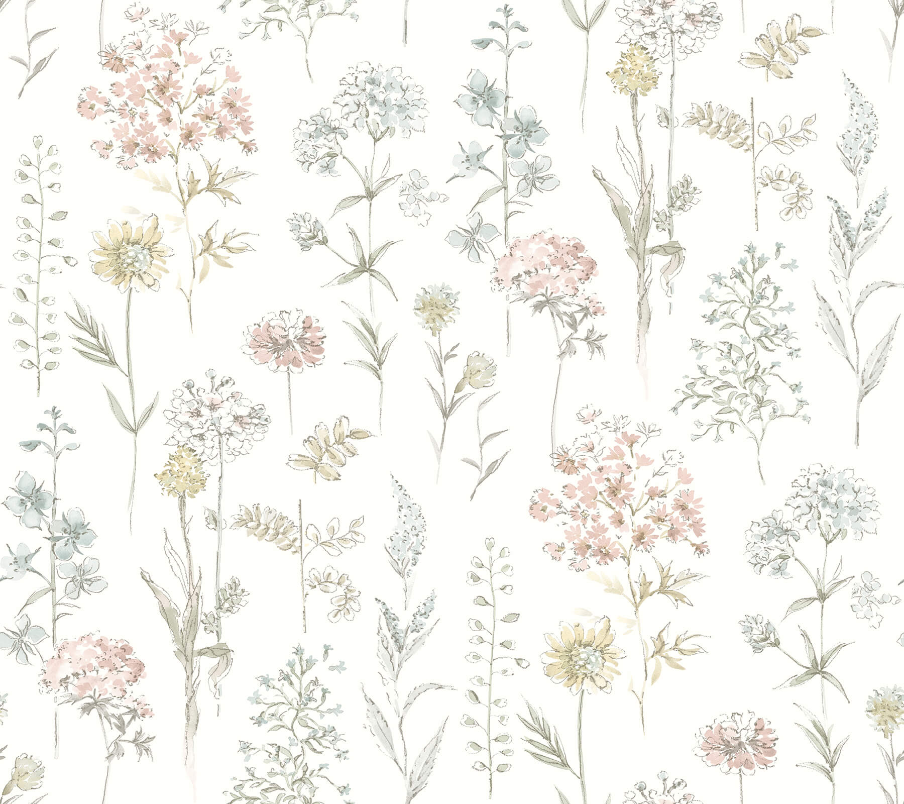 1800x1600 Chesapeake Bergamot Wildflower Pastel Wallpaper