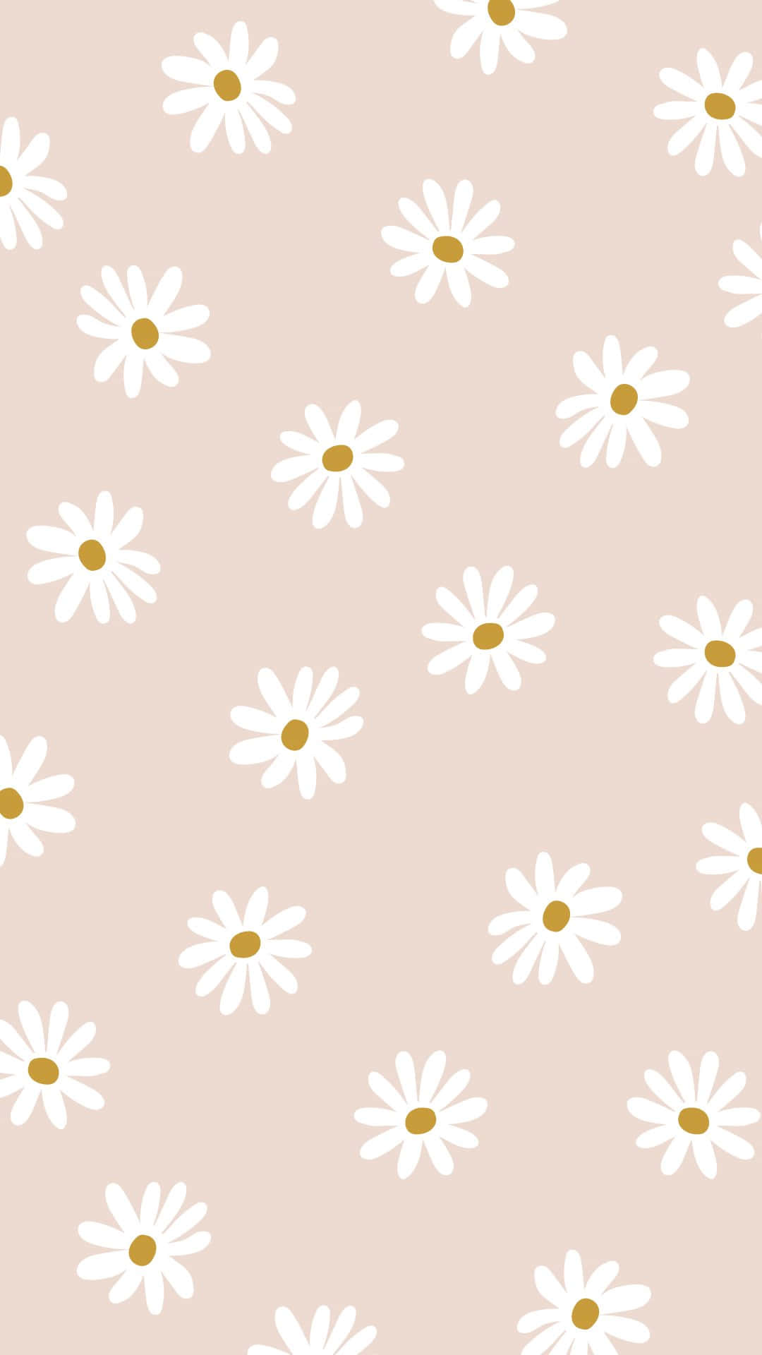 1080x1920 Aesthetic Pastel Cute Daisy Wallpaper