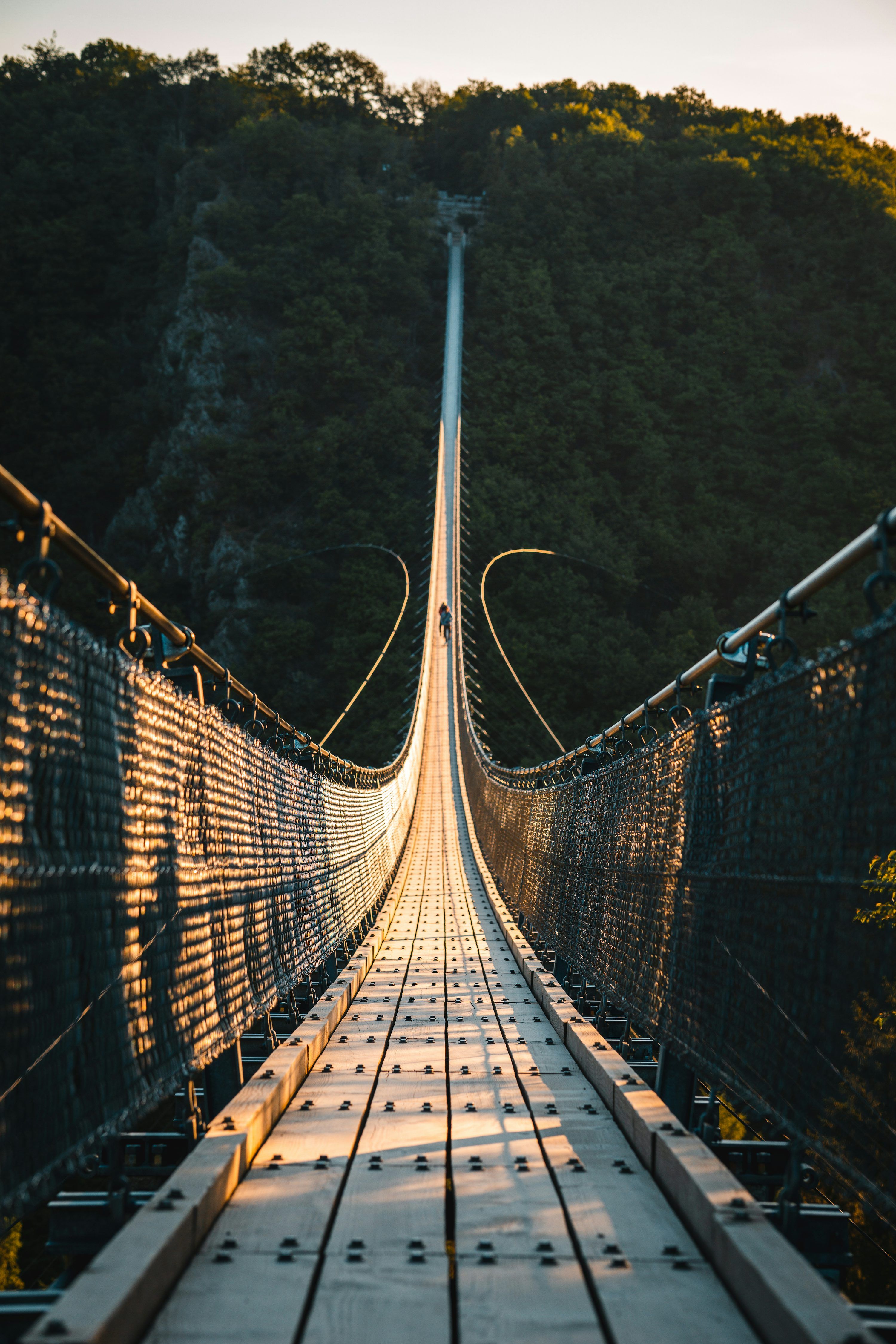 3000x4500 Suspension Bridge Picture. Download Free Image