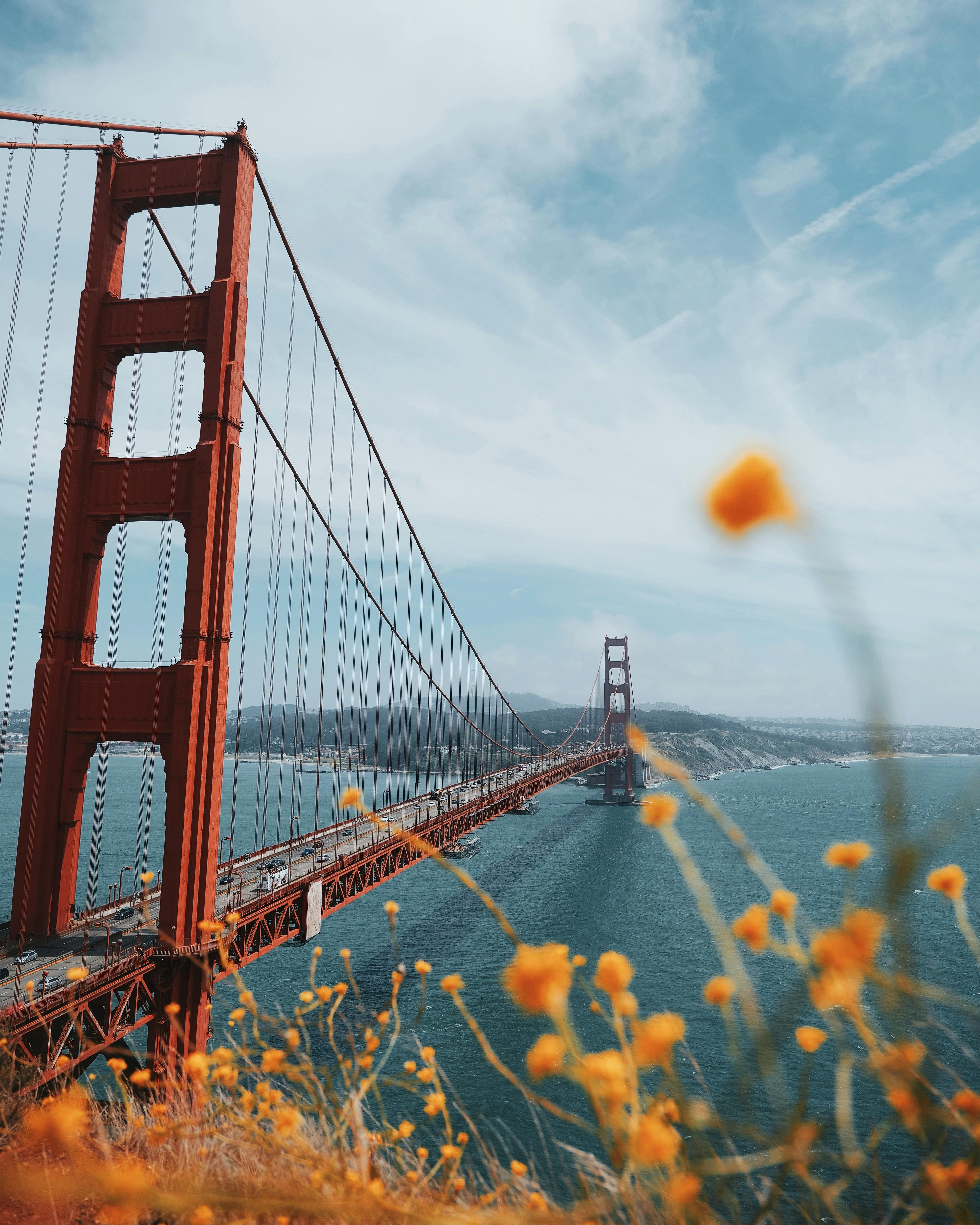 4000x5000 Red Suspension Bridge · Free