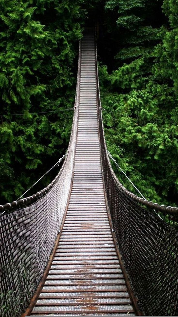 736x1308 Nature Long Suspension Bridge Over Forest iPhone 8 Wallpaper