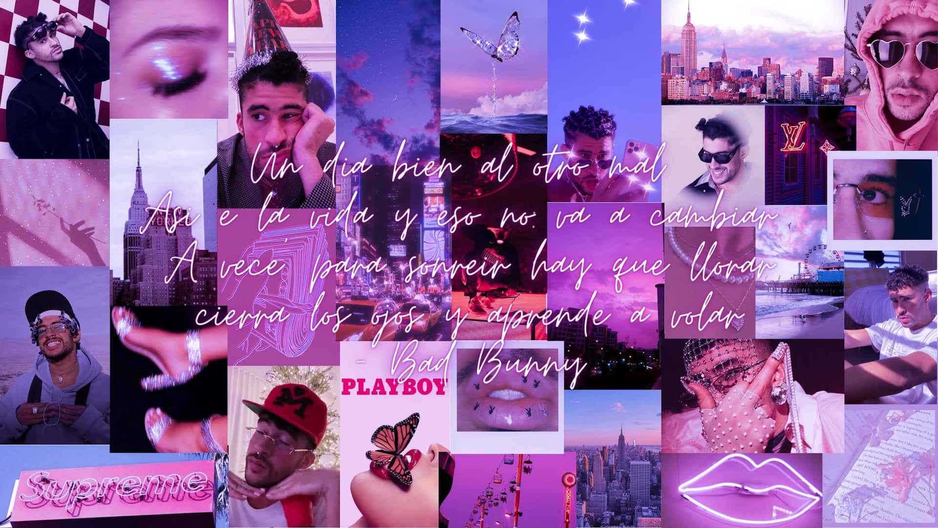 1920x1080 Download Bad Bunny paints the perfect picture
