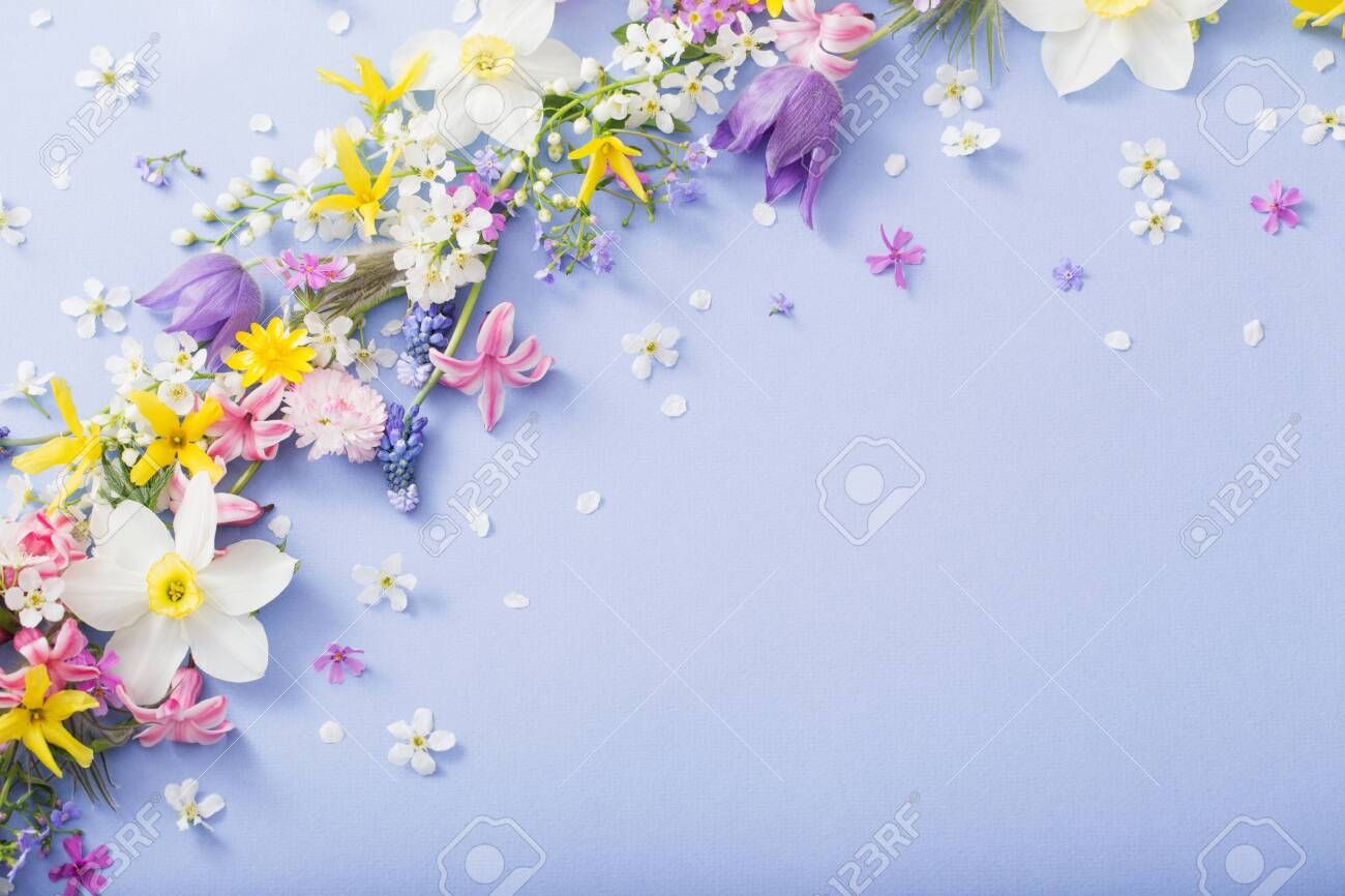 1300x866 Beautiful Spring Flowers On Paper Background , Picture and Royalty Free Image. Image 124556166