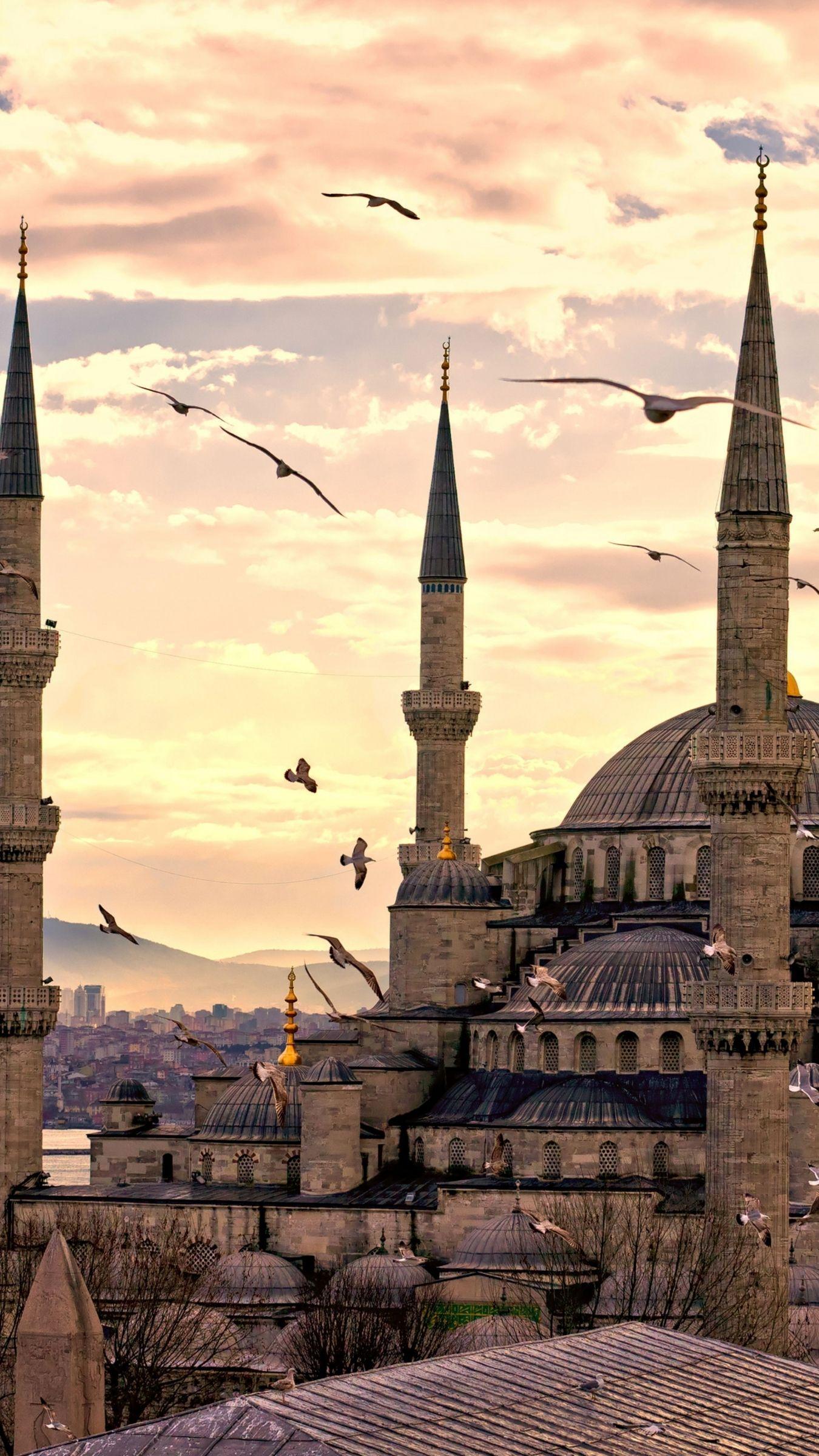 1350x2400 Download Sultan Ahmed Mosque, Istanbul, Turkey, Travel, Tourism