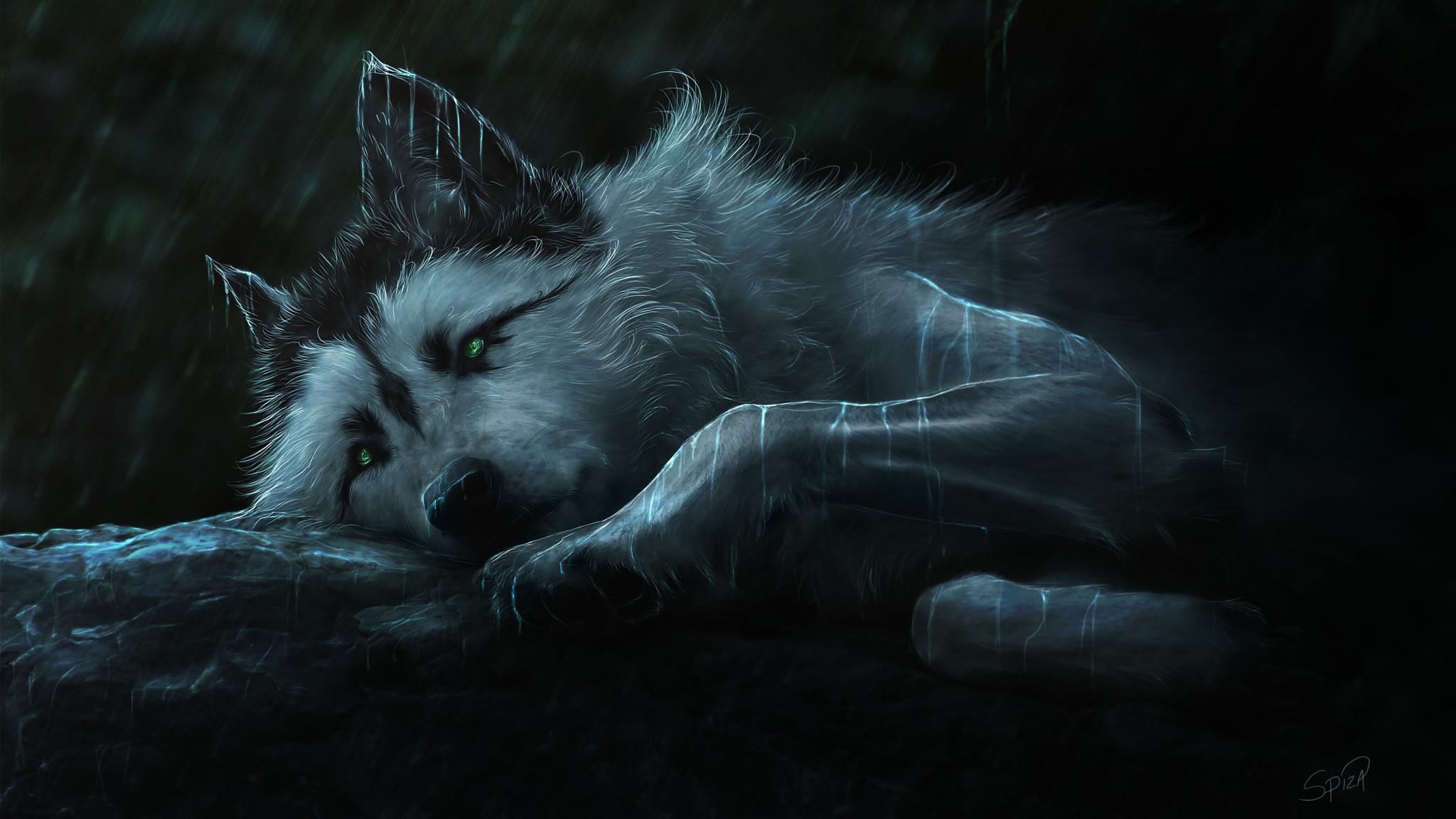 Sad Wolf Wallpapers - Top Free Sad Wolf Backgrounds - WallpaperAccess