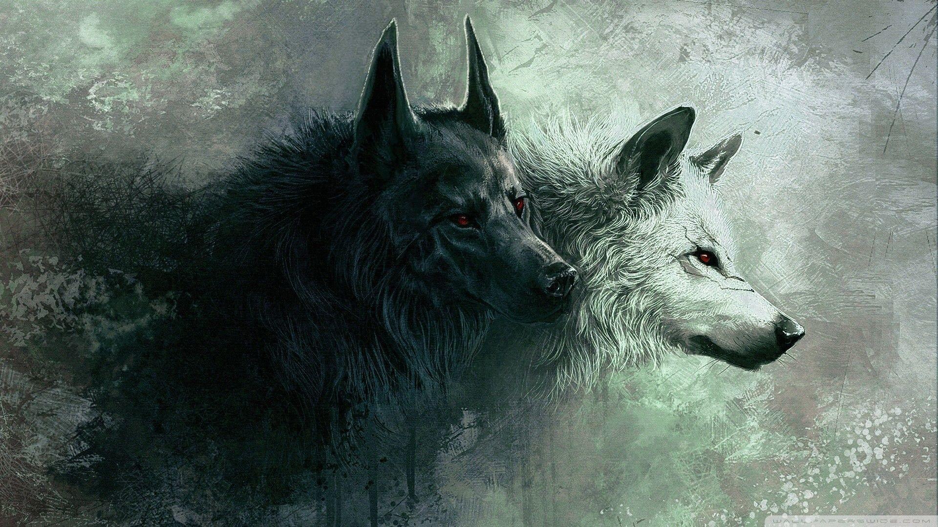 100 Anime Wolf Pictures  Wallpaperscom