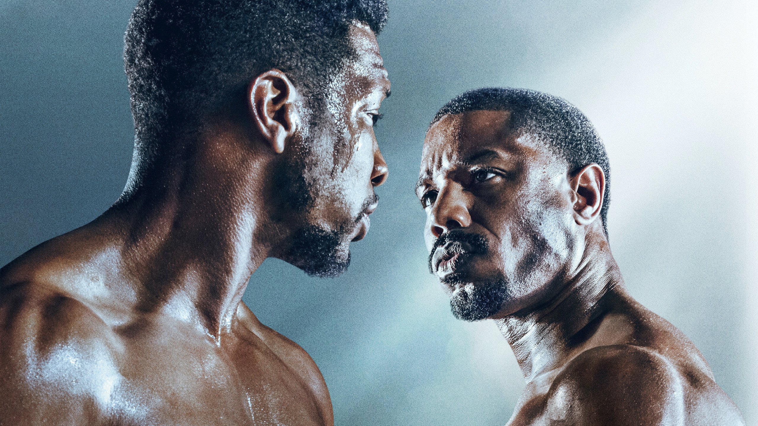 2560x1440 Michael B. Jordan as Adonis Creed, Tessa Thompson as Bianca Creed, Jonathan Majors as Damian Anderson, Wood Harris, Tony 'Little Duke' Burton HD Creed III Wallpaper
