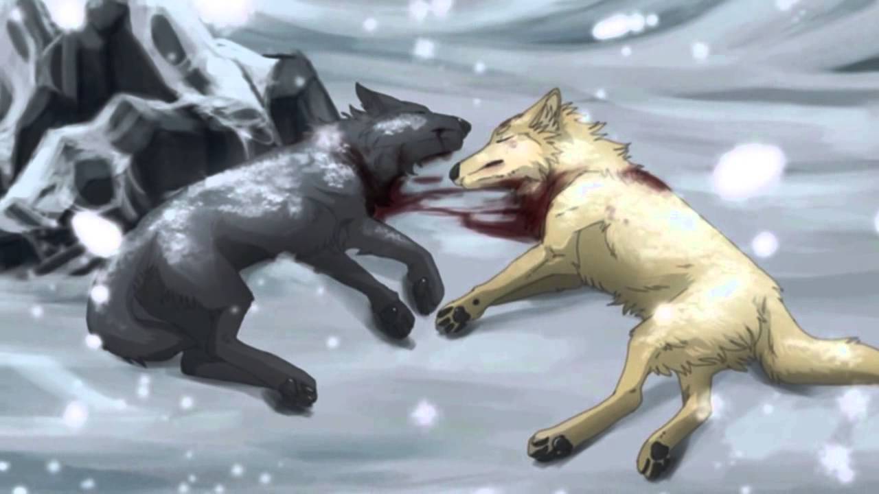 1280x720 Sad Wolf Wallpaper