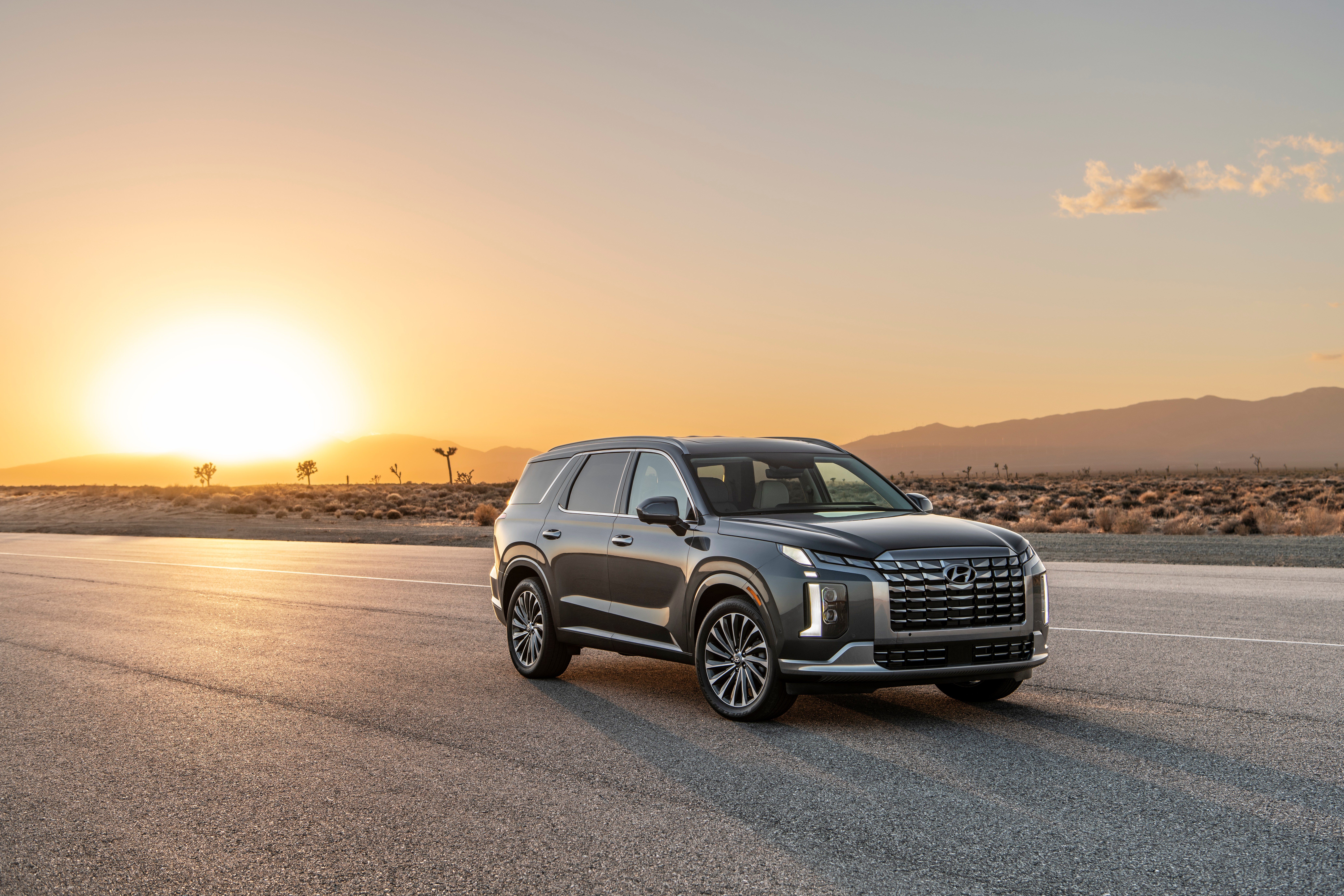 8256x5504 Download Vehicle Hyundai Palisade 8k Ultra HD Wallpaper