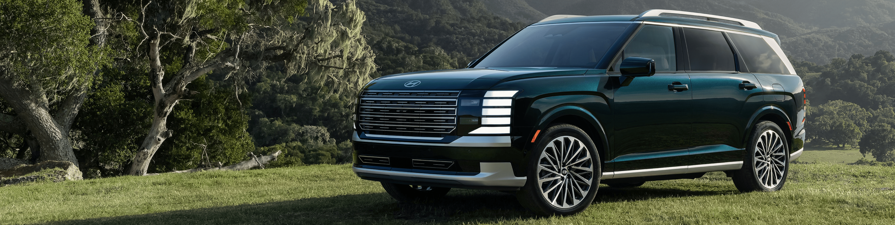 3784x953 Hyundai Palisade