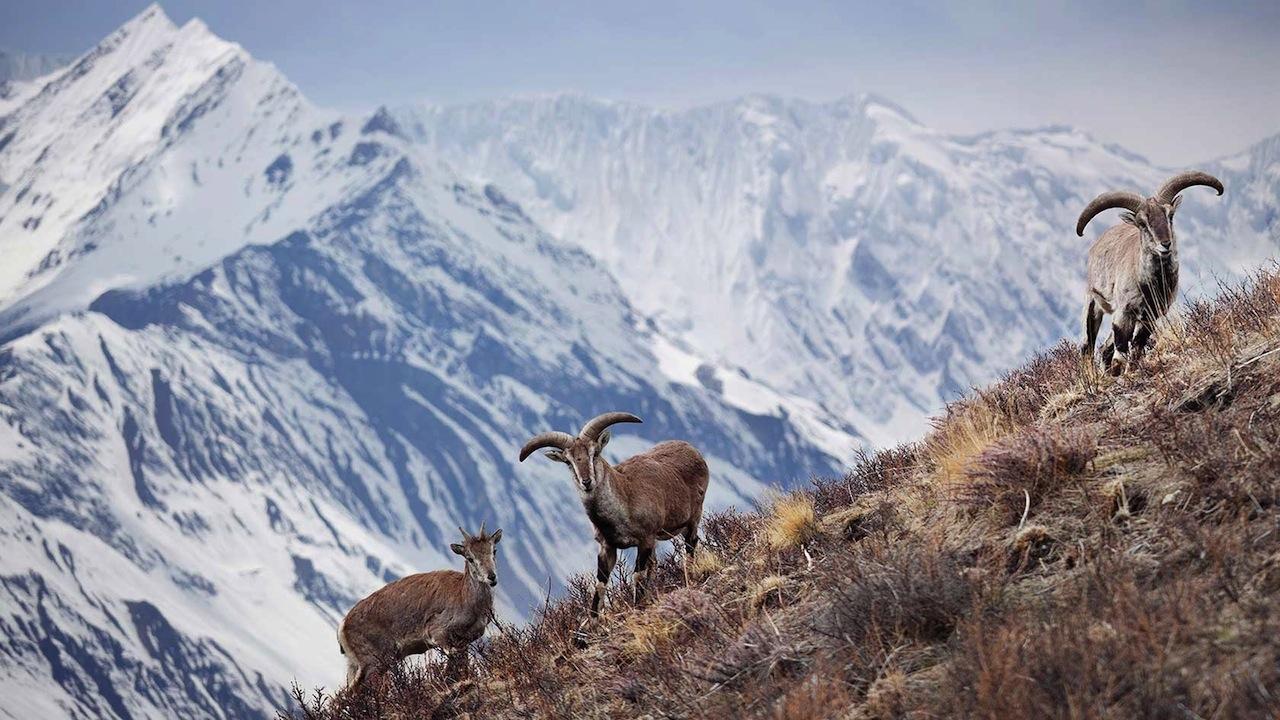 1280x720 FDZ 26: Picture Of Nepal HD, 47 Best Wallpaper