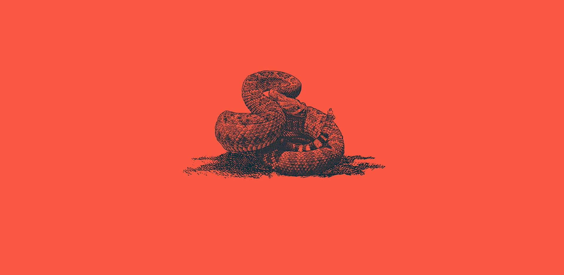 1920x937 Rattle Snake HD Live Wallpaper